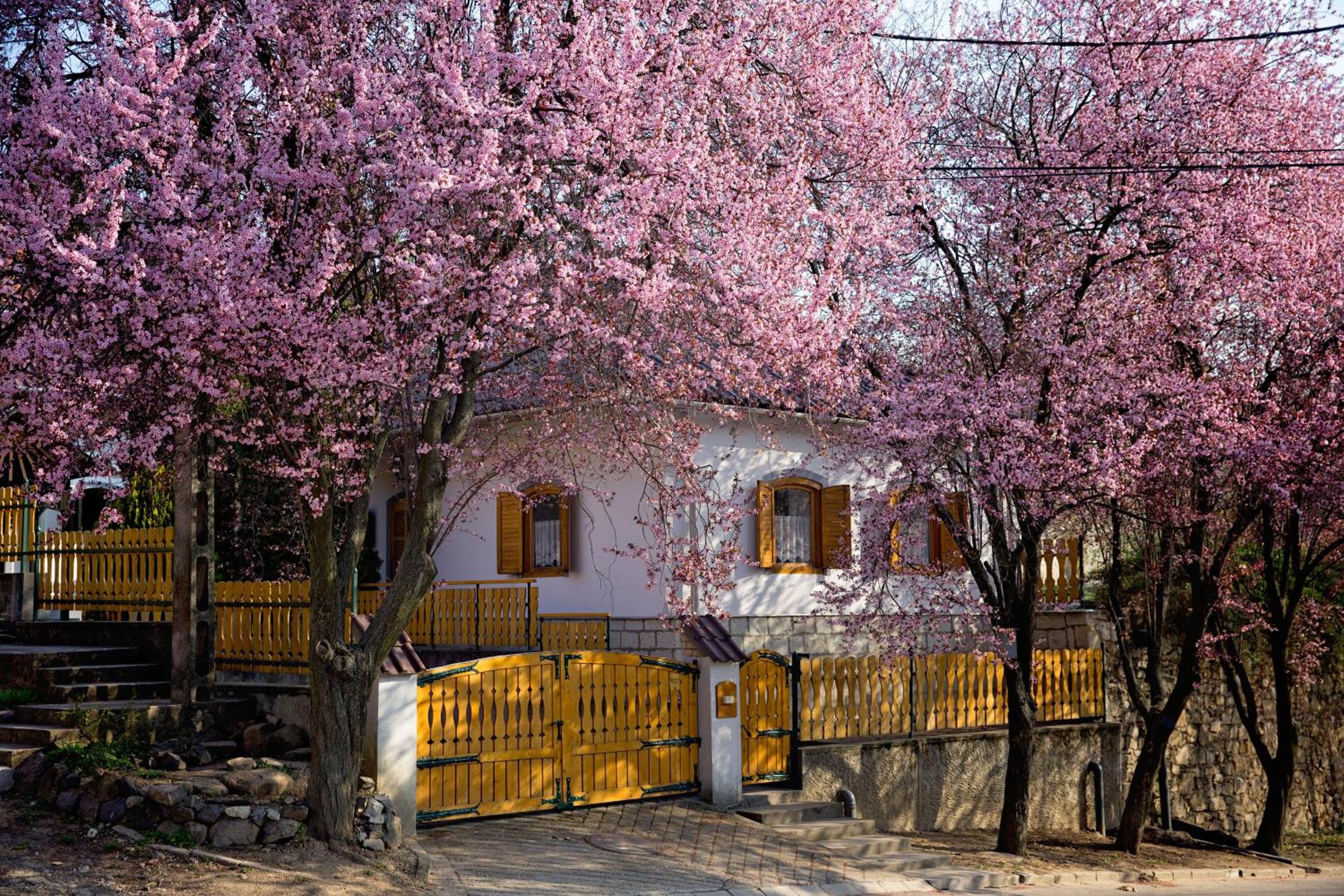 Antalóczy Vendégház view 3