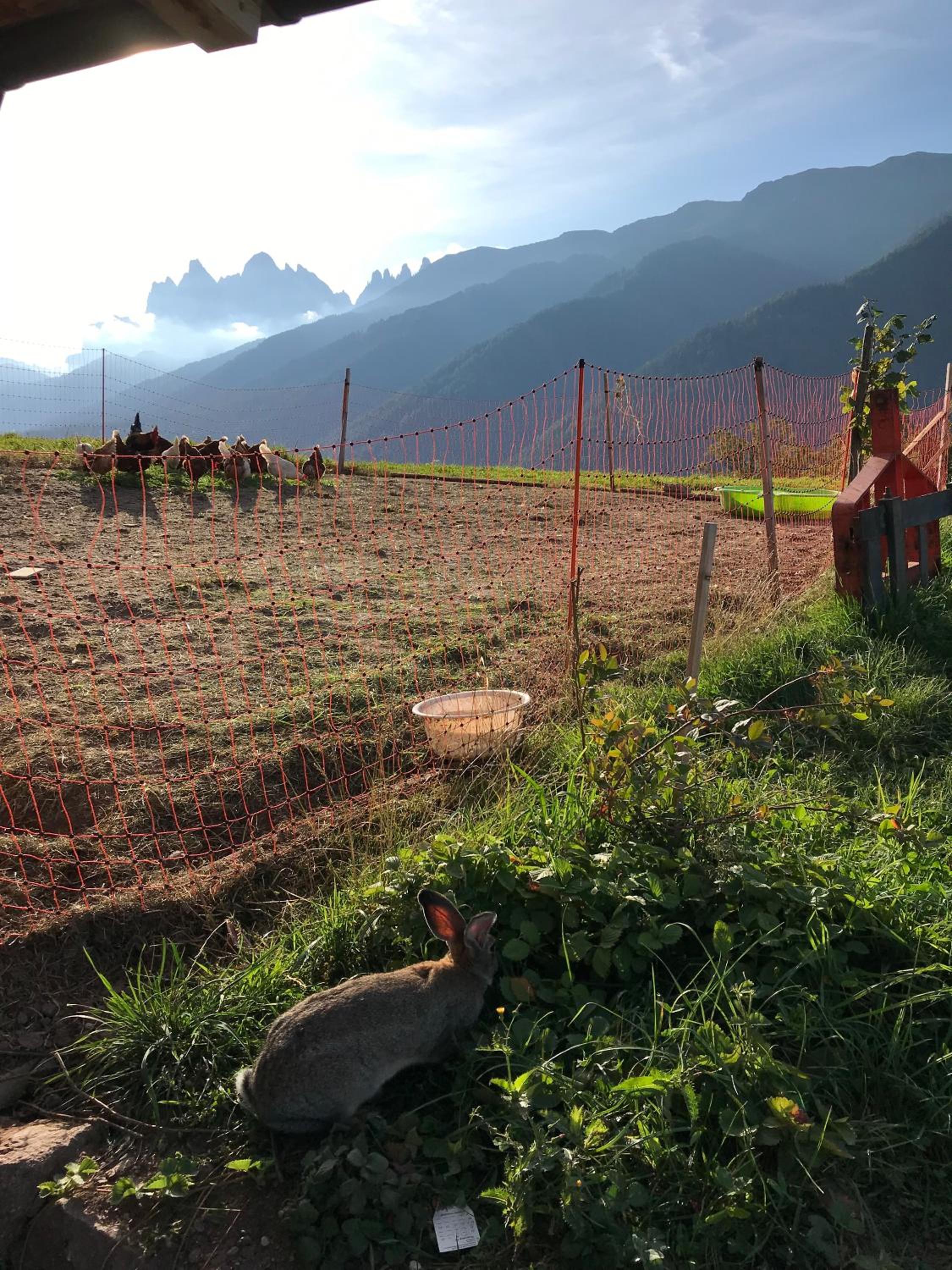Gasleidhof view 5