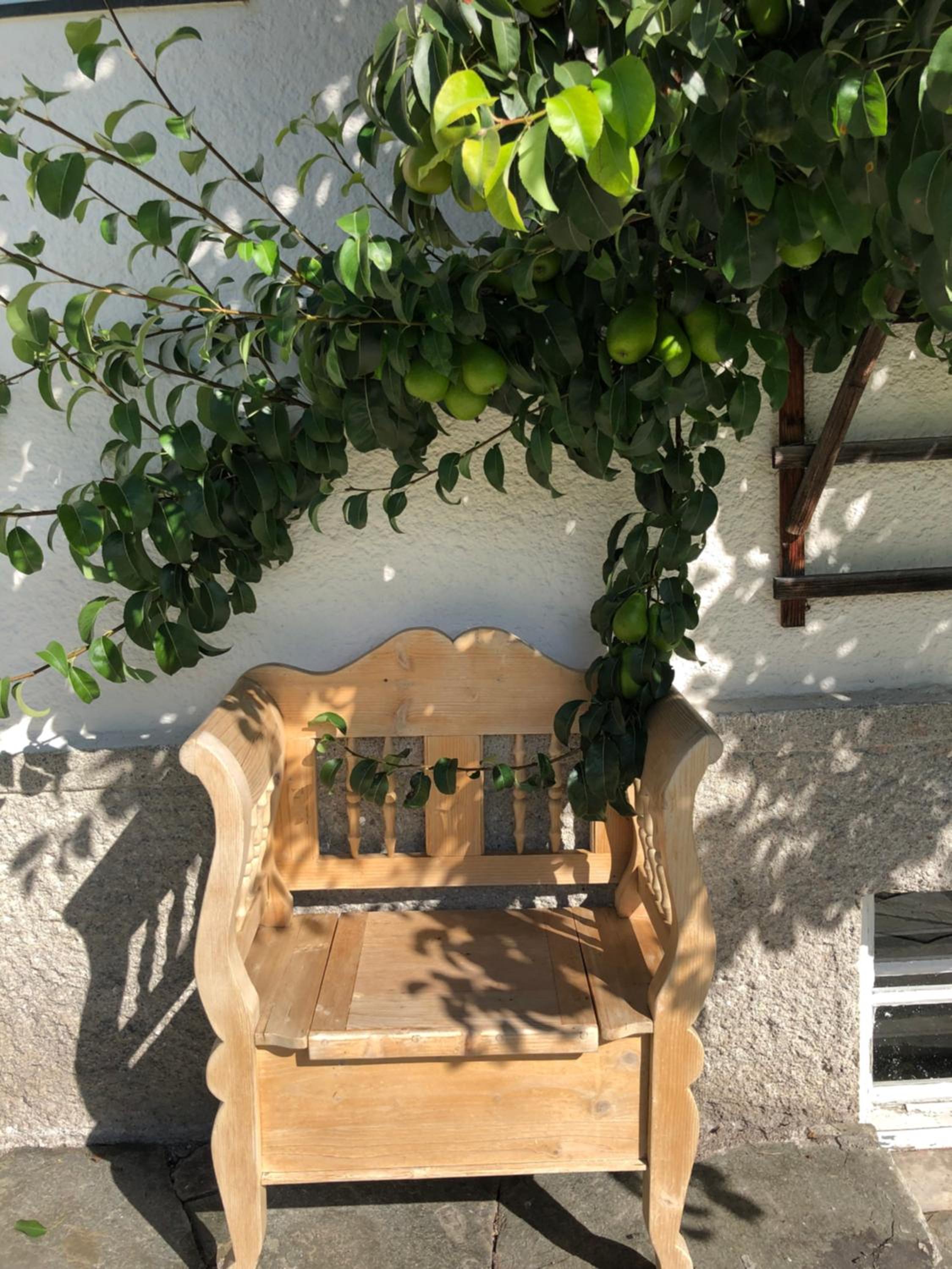 Ferienhaus Alpennest