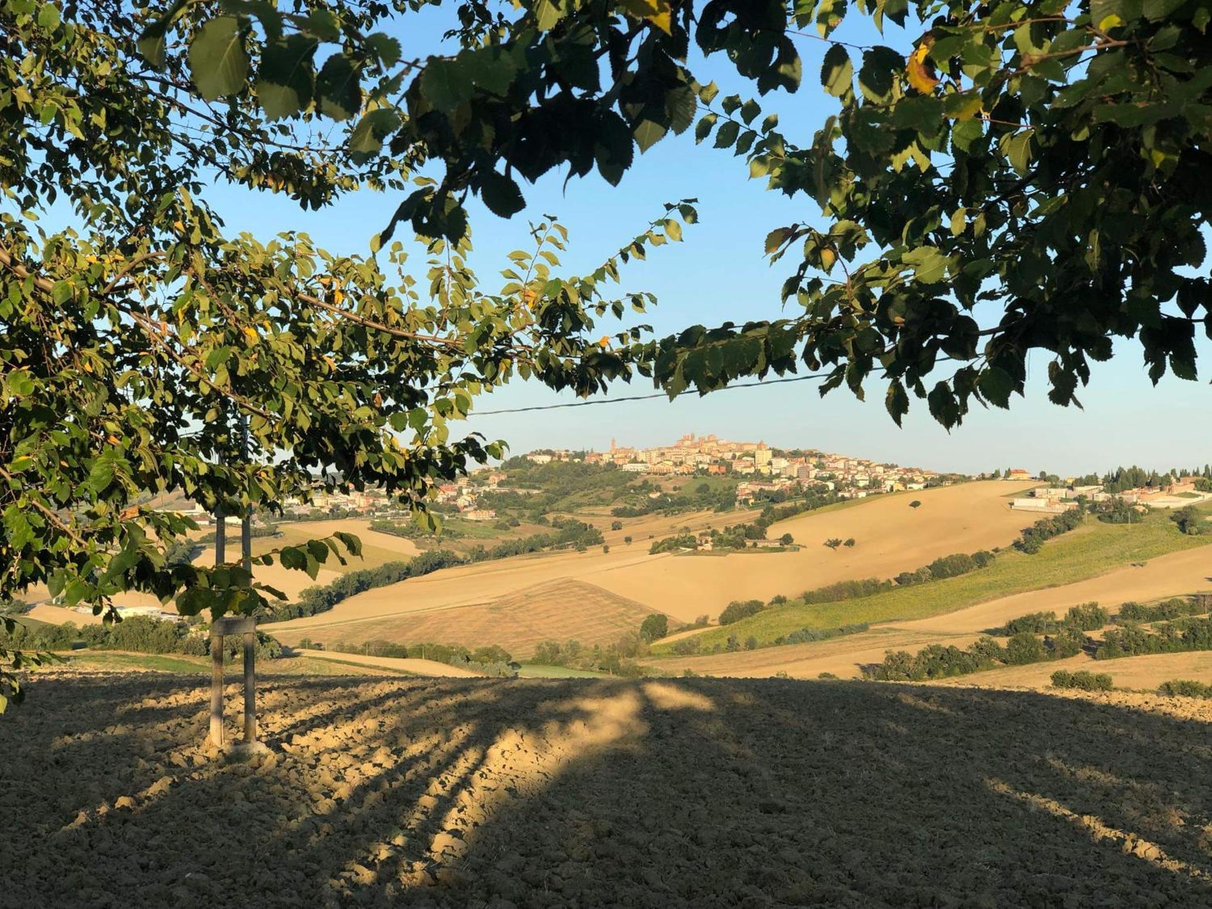 B&B I Pini Di Storaco - Image 4