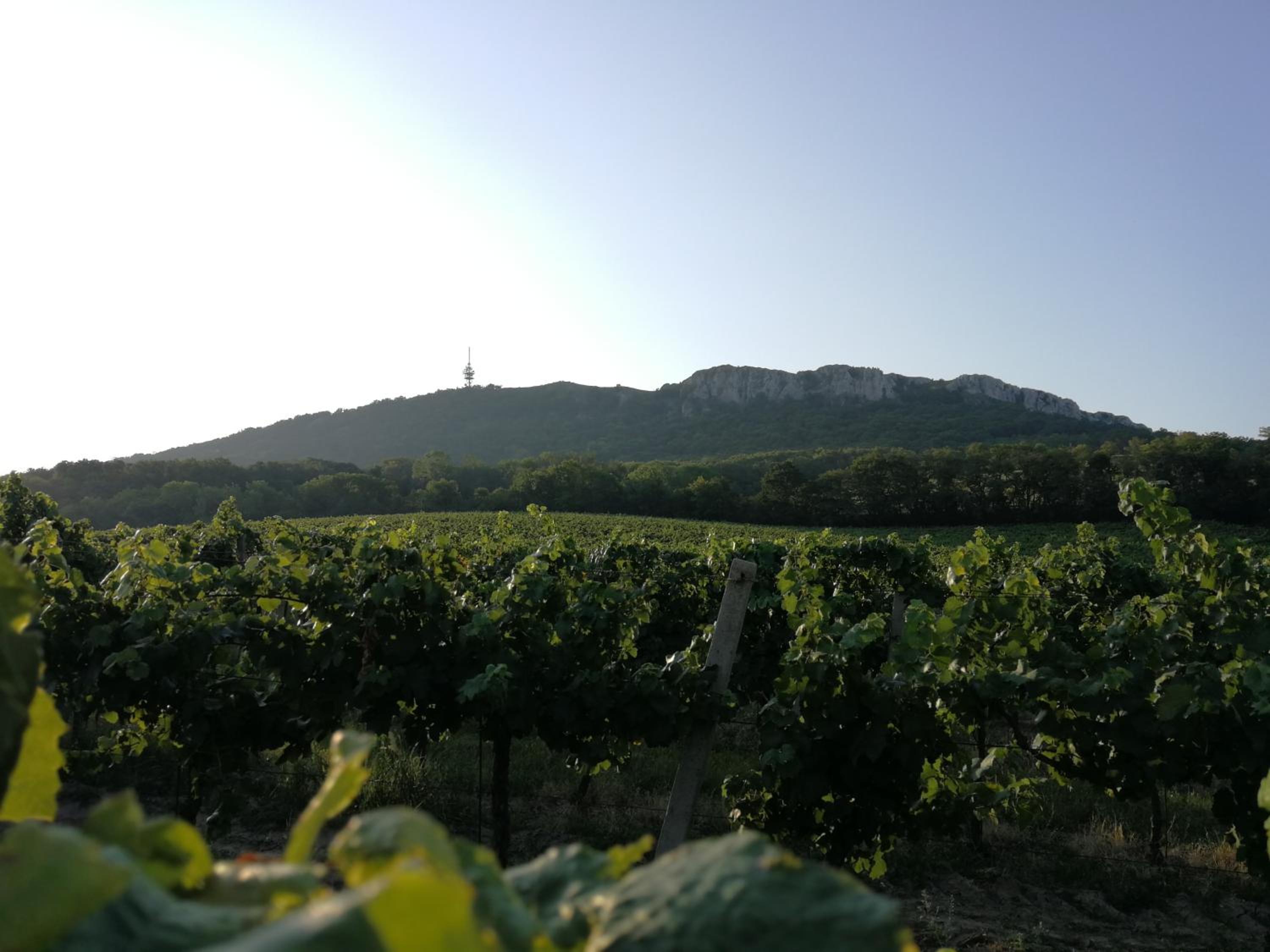 Bona Terra view 4