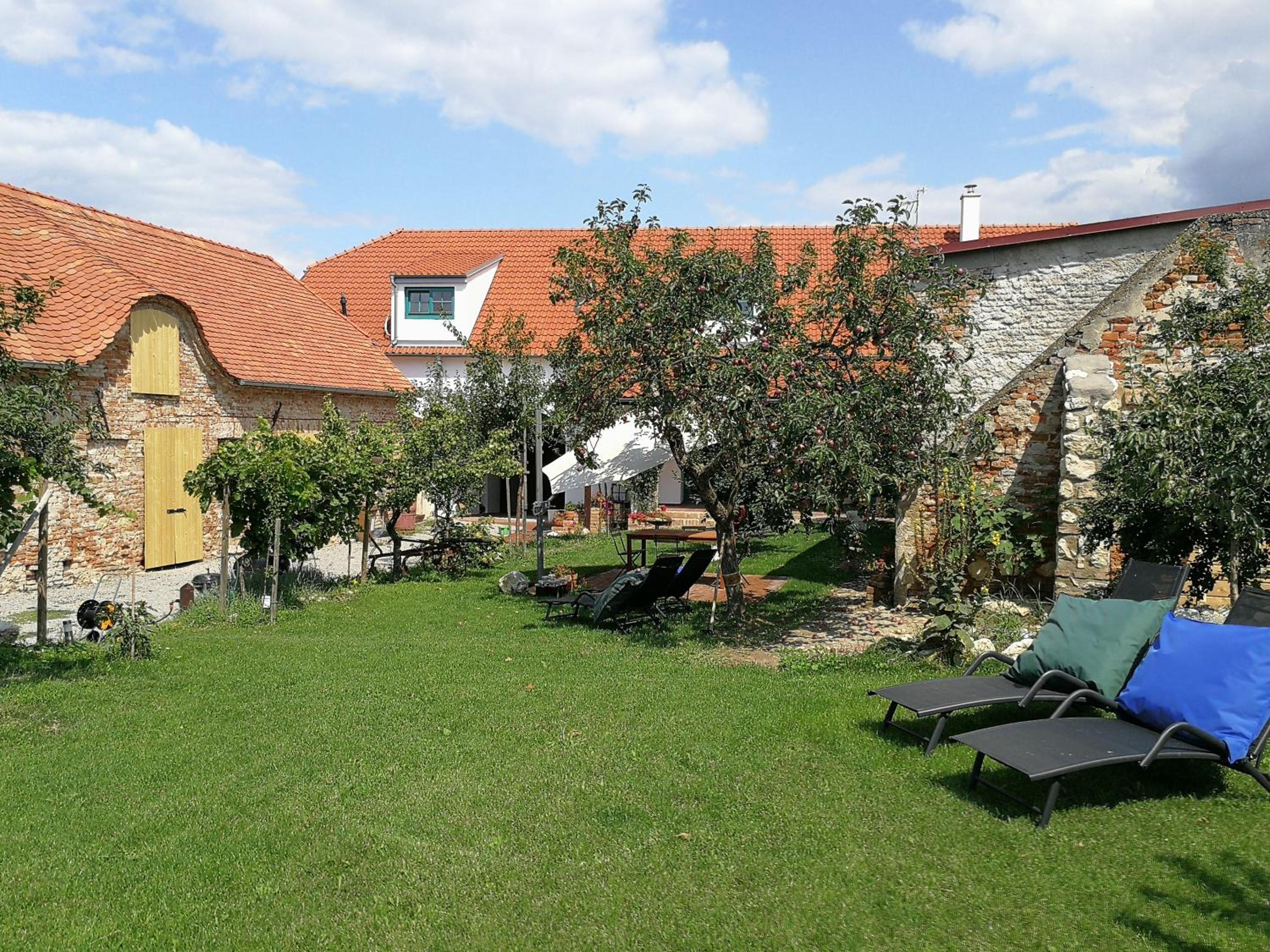 Photo 14
