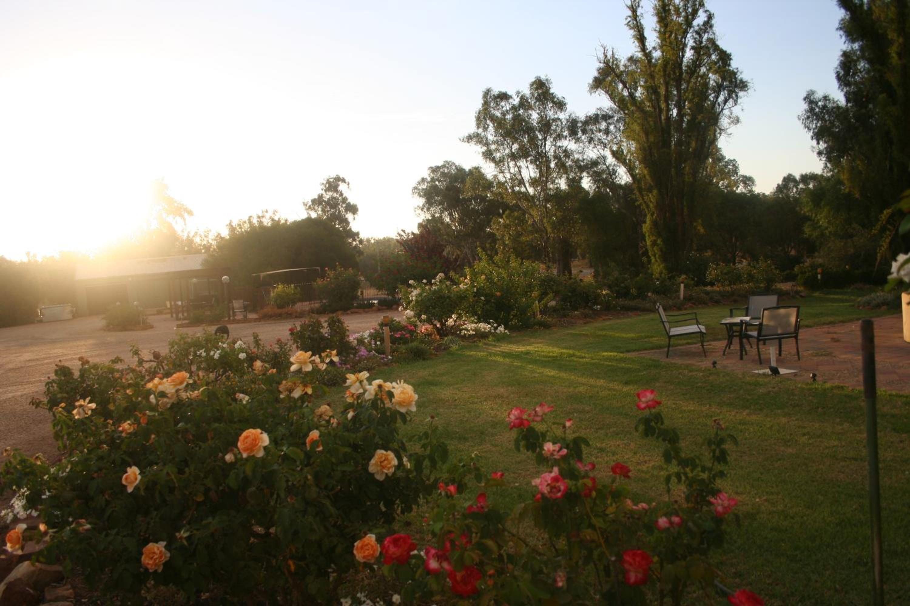 Newell Motor Inn Narrandera