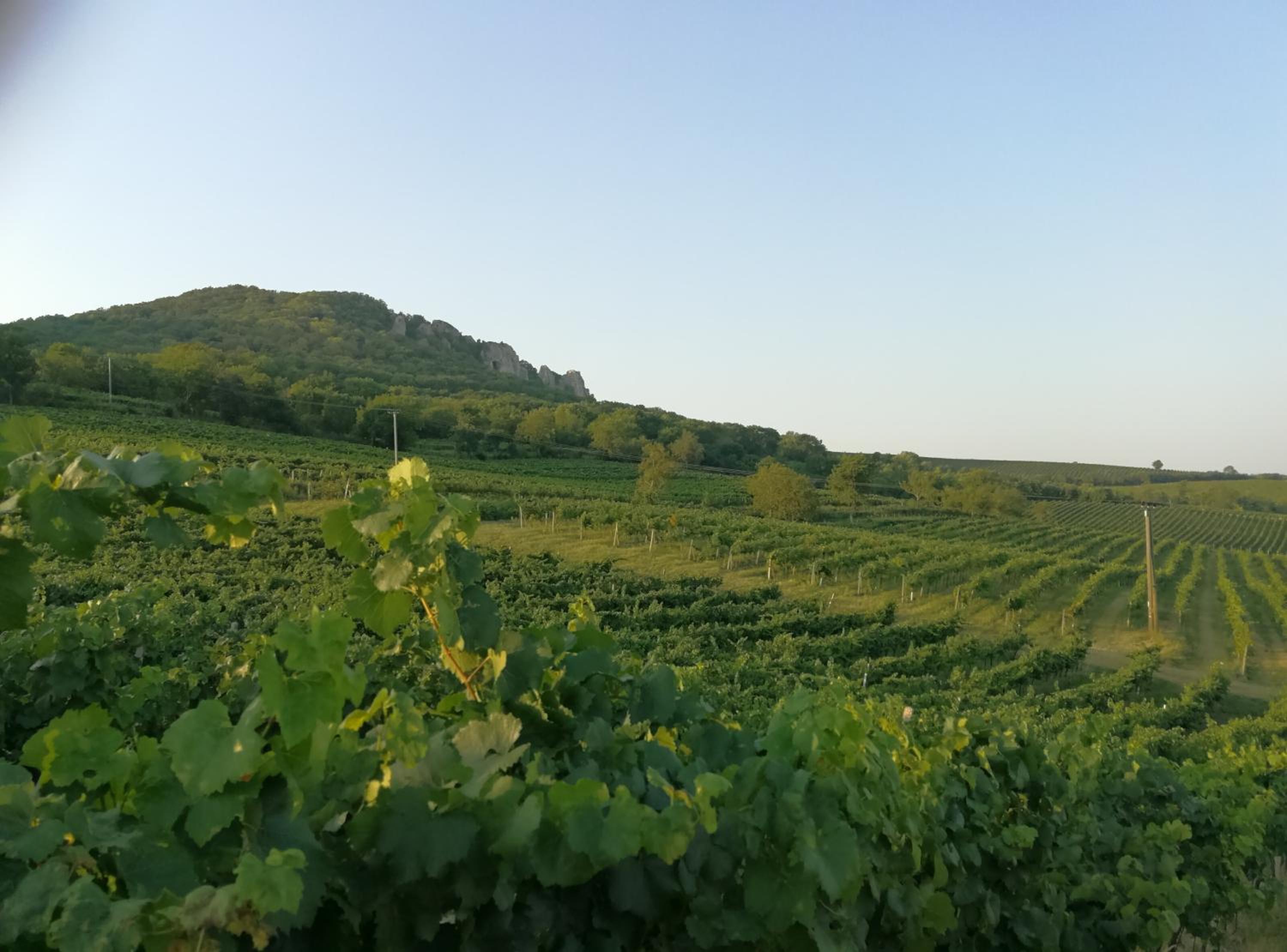 Bona Terra view 5