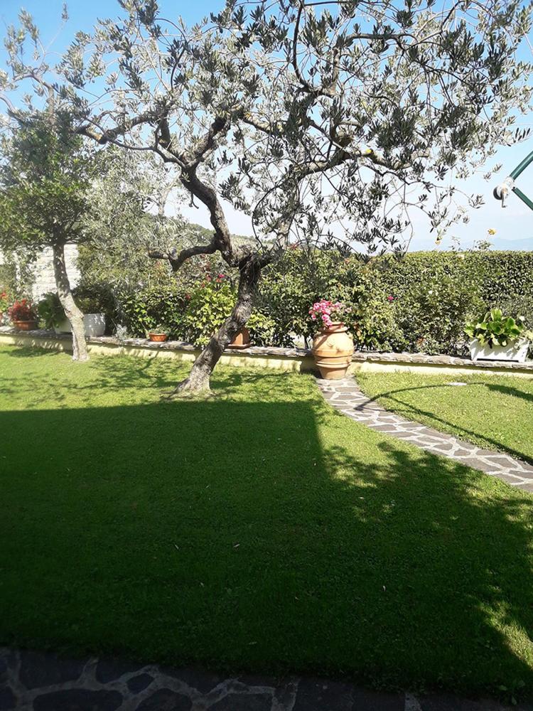 Photo 28