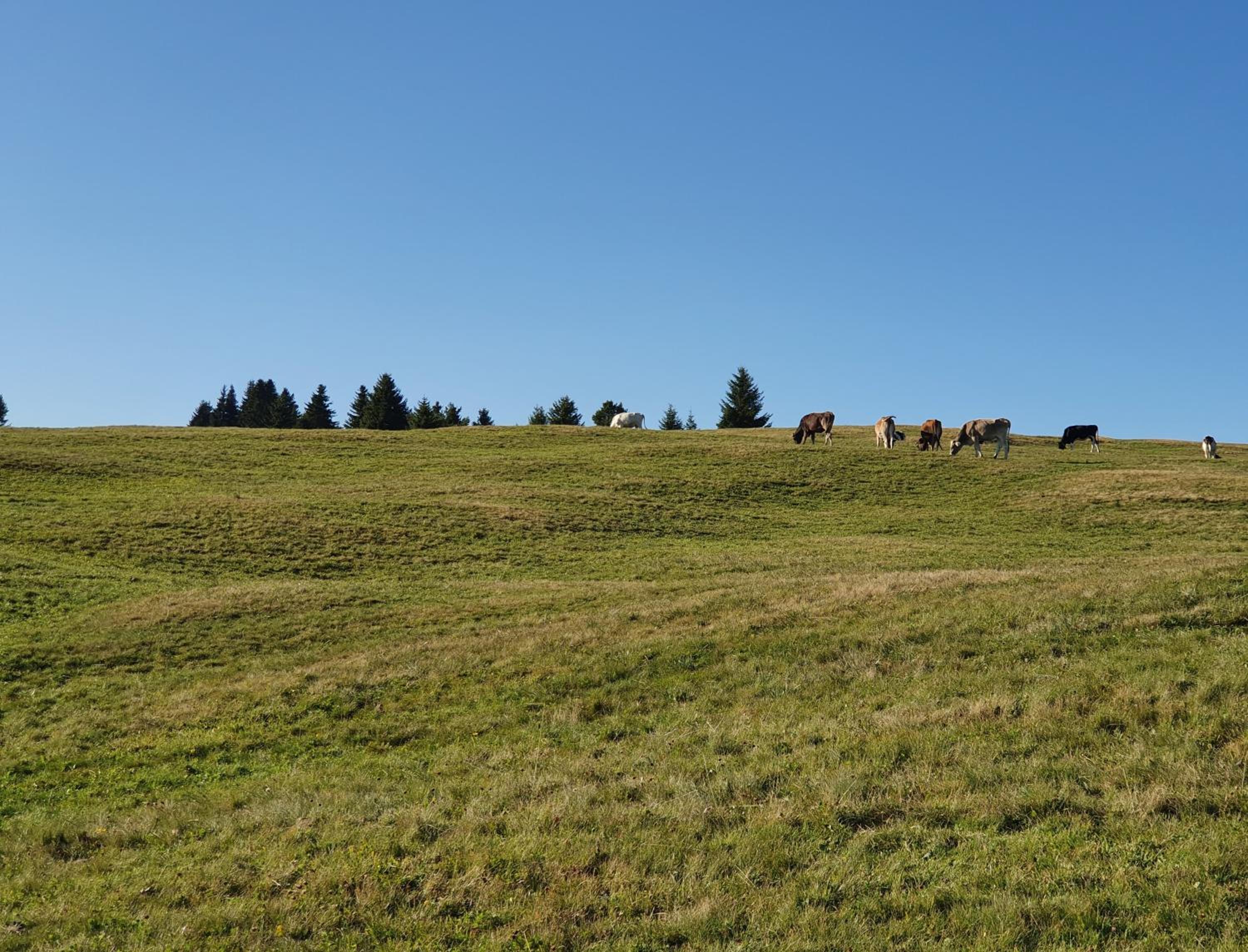 Naturhotel Runa