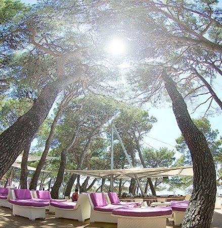 Sobe Centar Baška Voda view 4