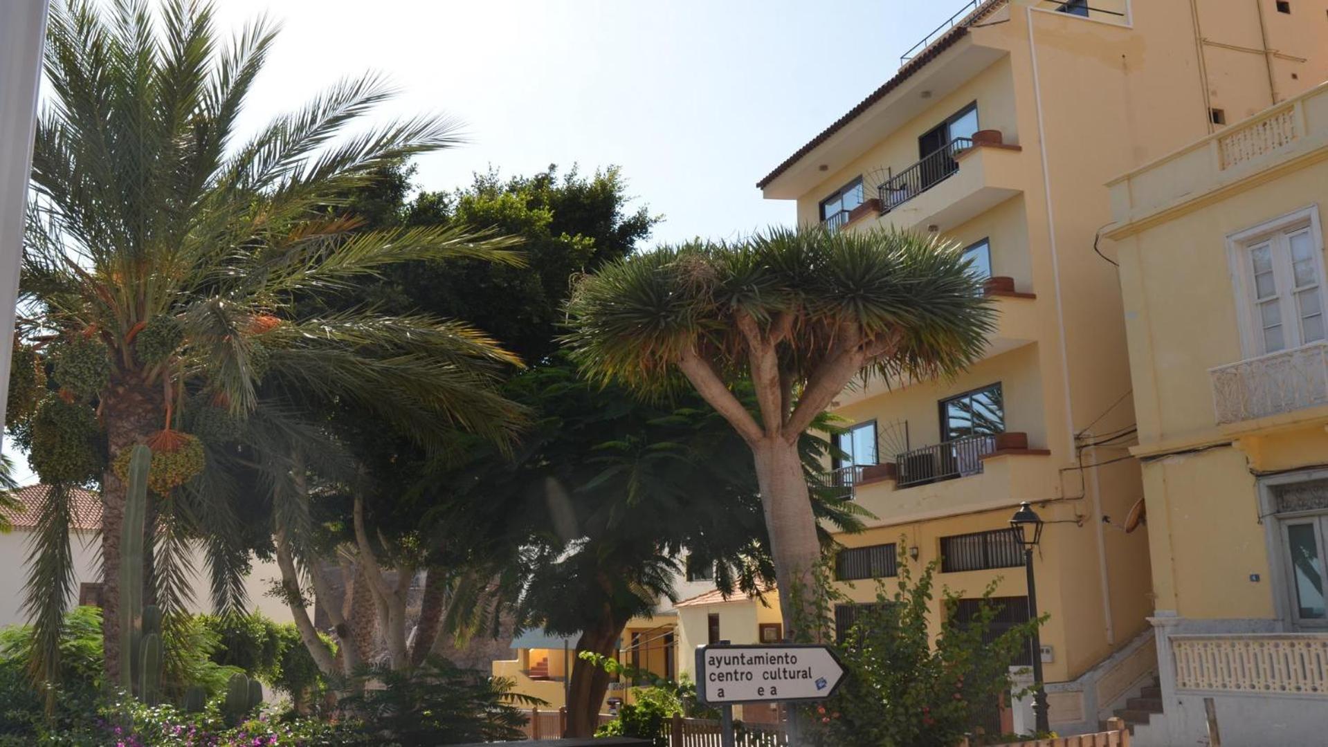 Apt. El Molino 3A view 3