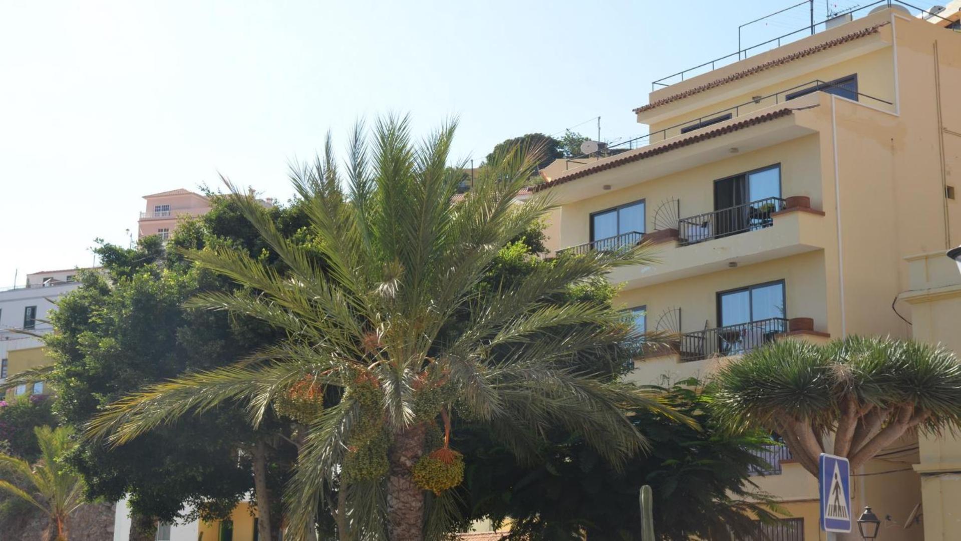 Apt. El Molino 3A view 5