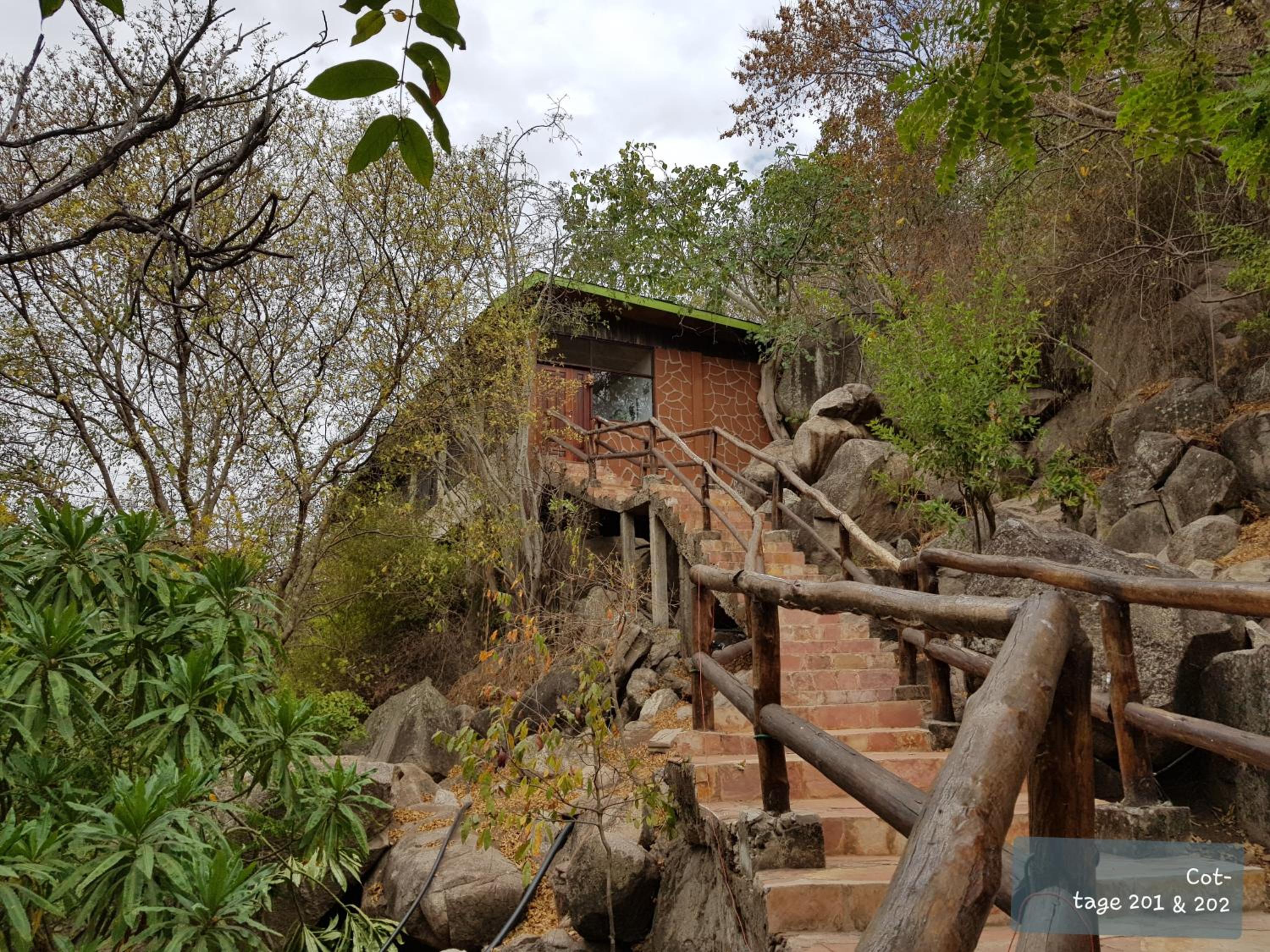 Wag Hill Lodge & Spa