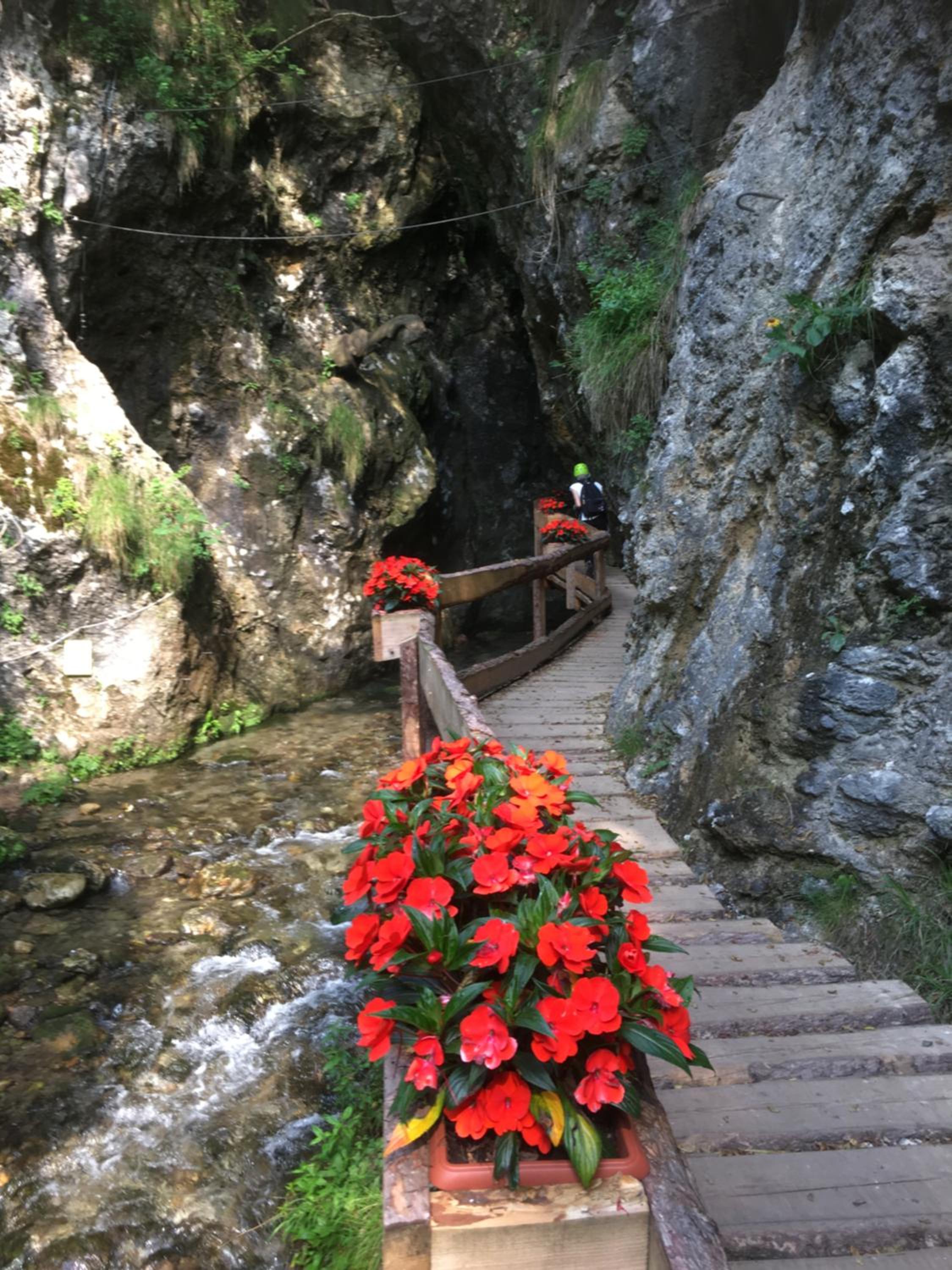 Photo 33