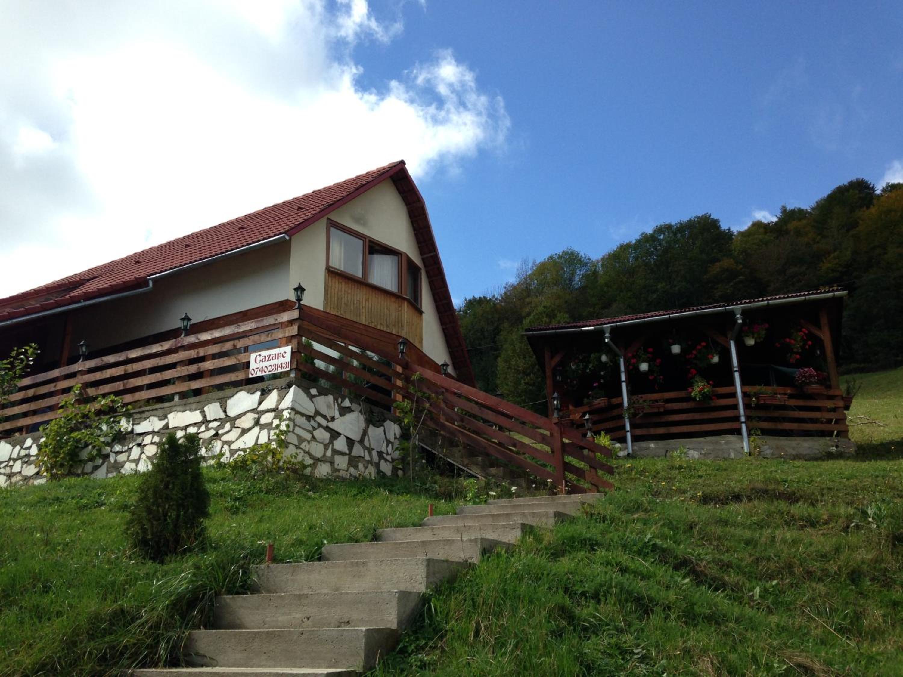 Photo 42