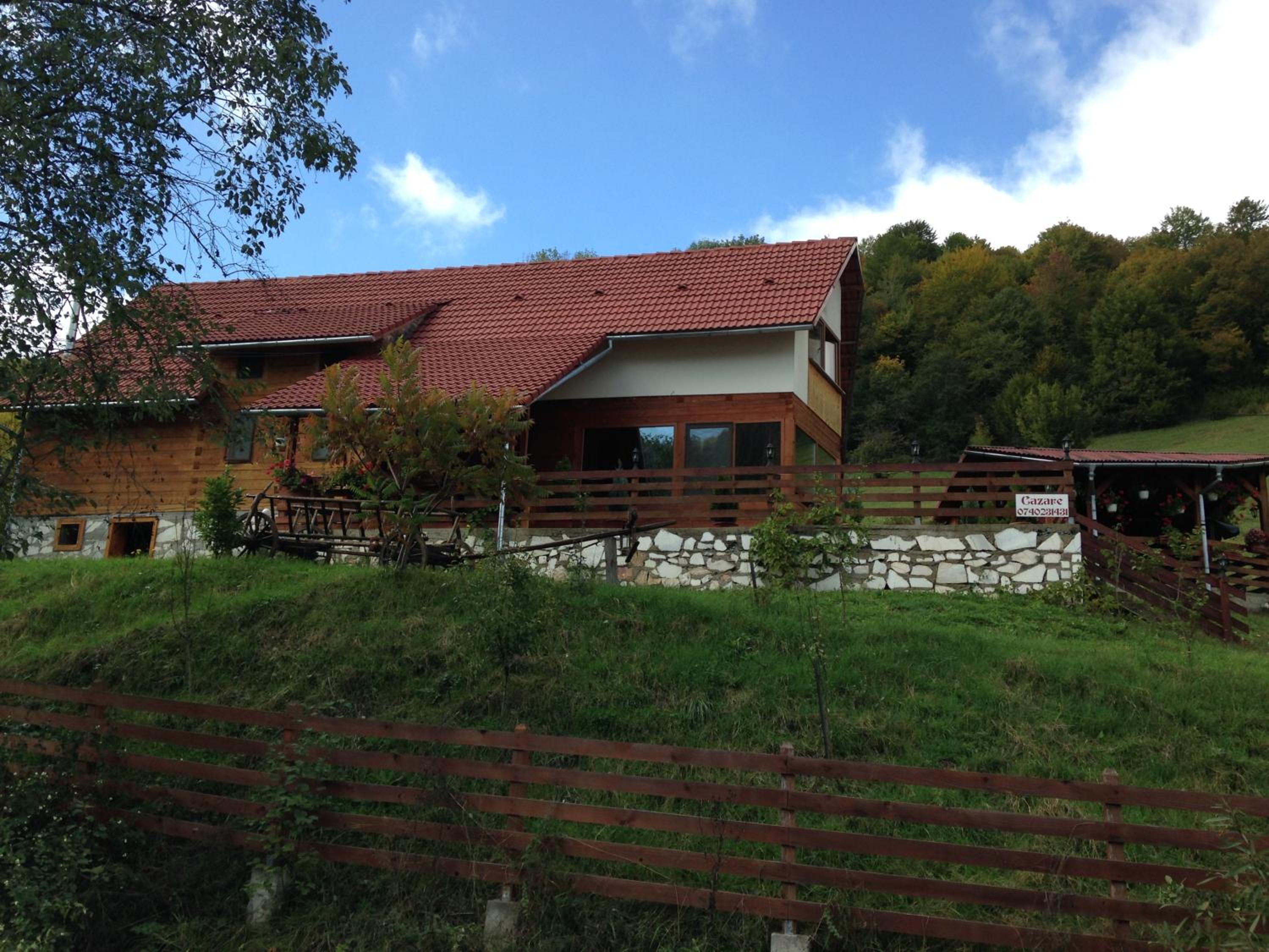 Photo 41