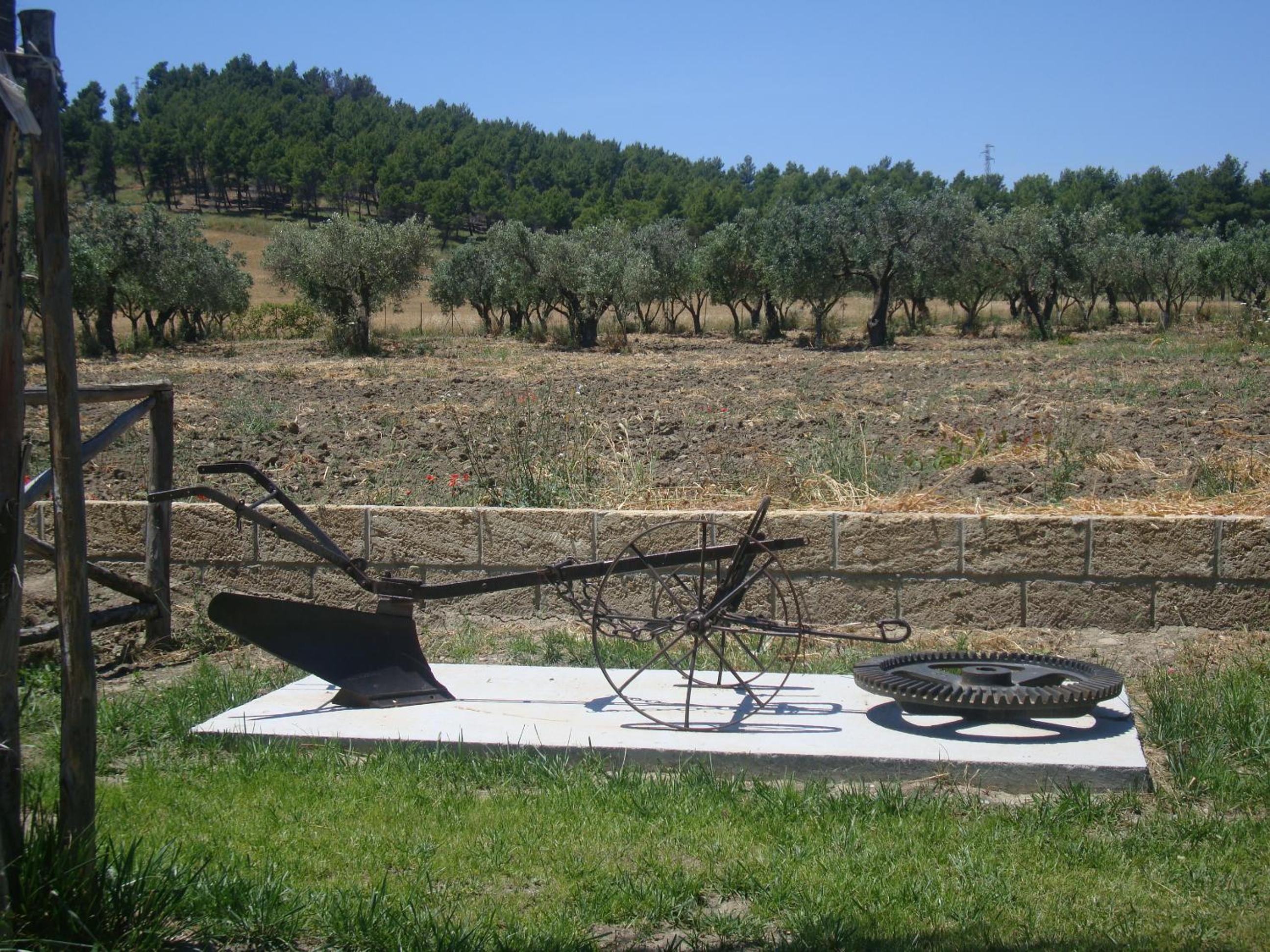 Agriturismo Fieri