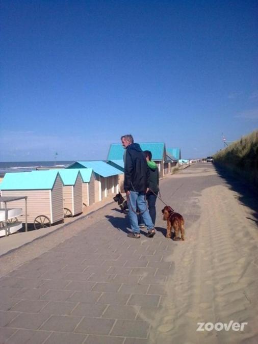 Photo 48