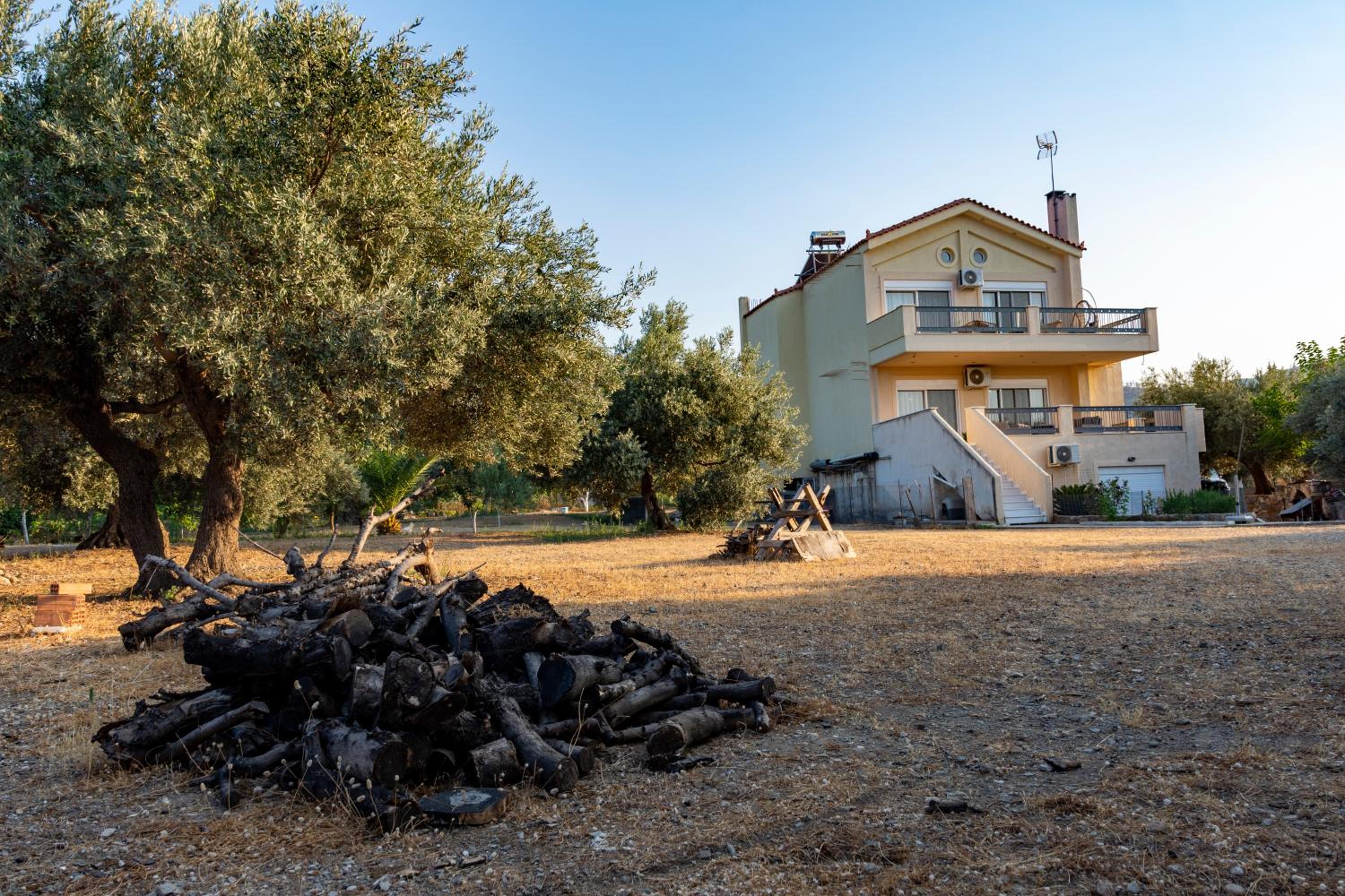 Villa Elli