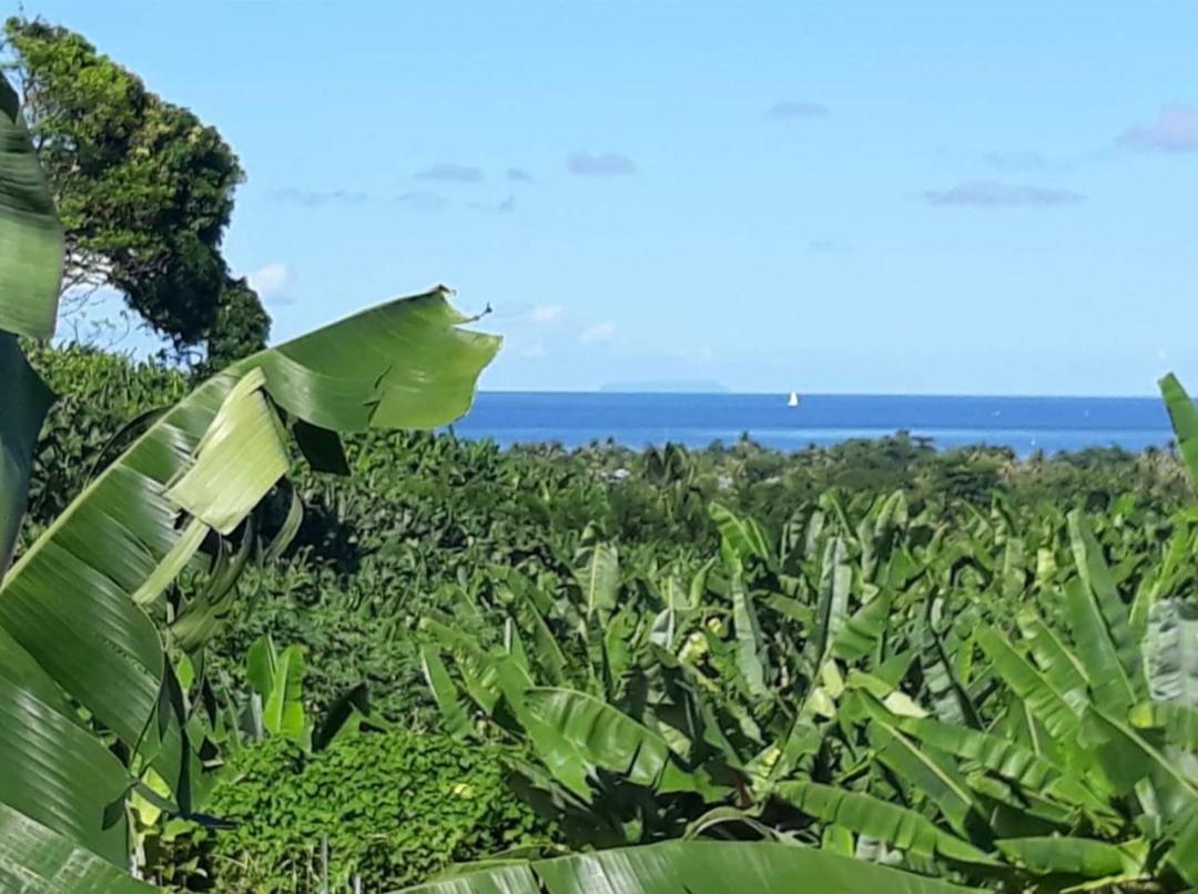 Bungalow de charme view 3