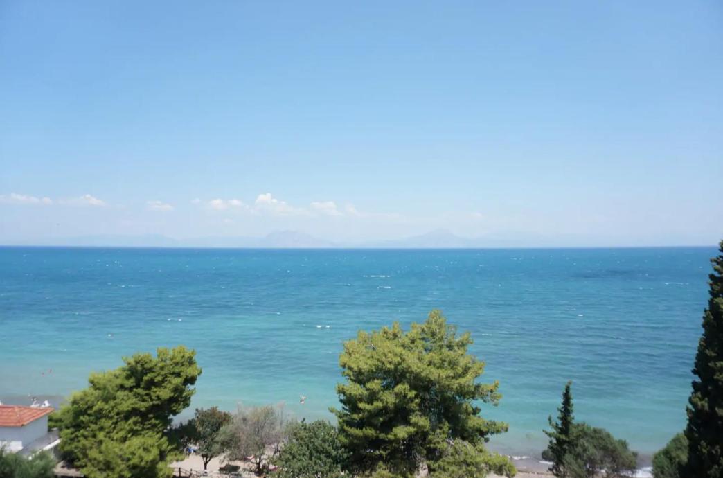 Sea Side Villa Alexandra view 5