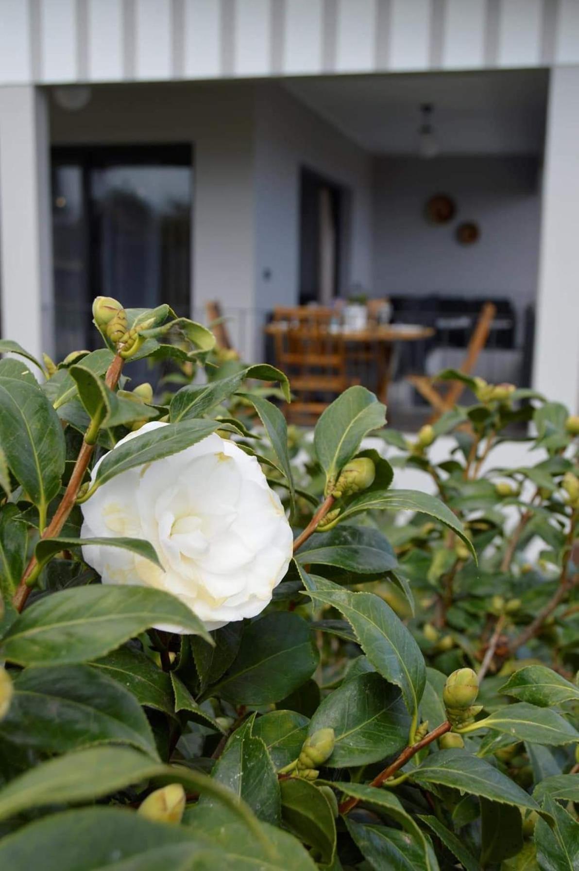 Villa Reis Gaula view 2