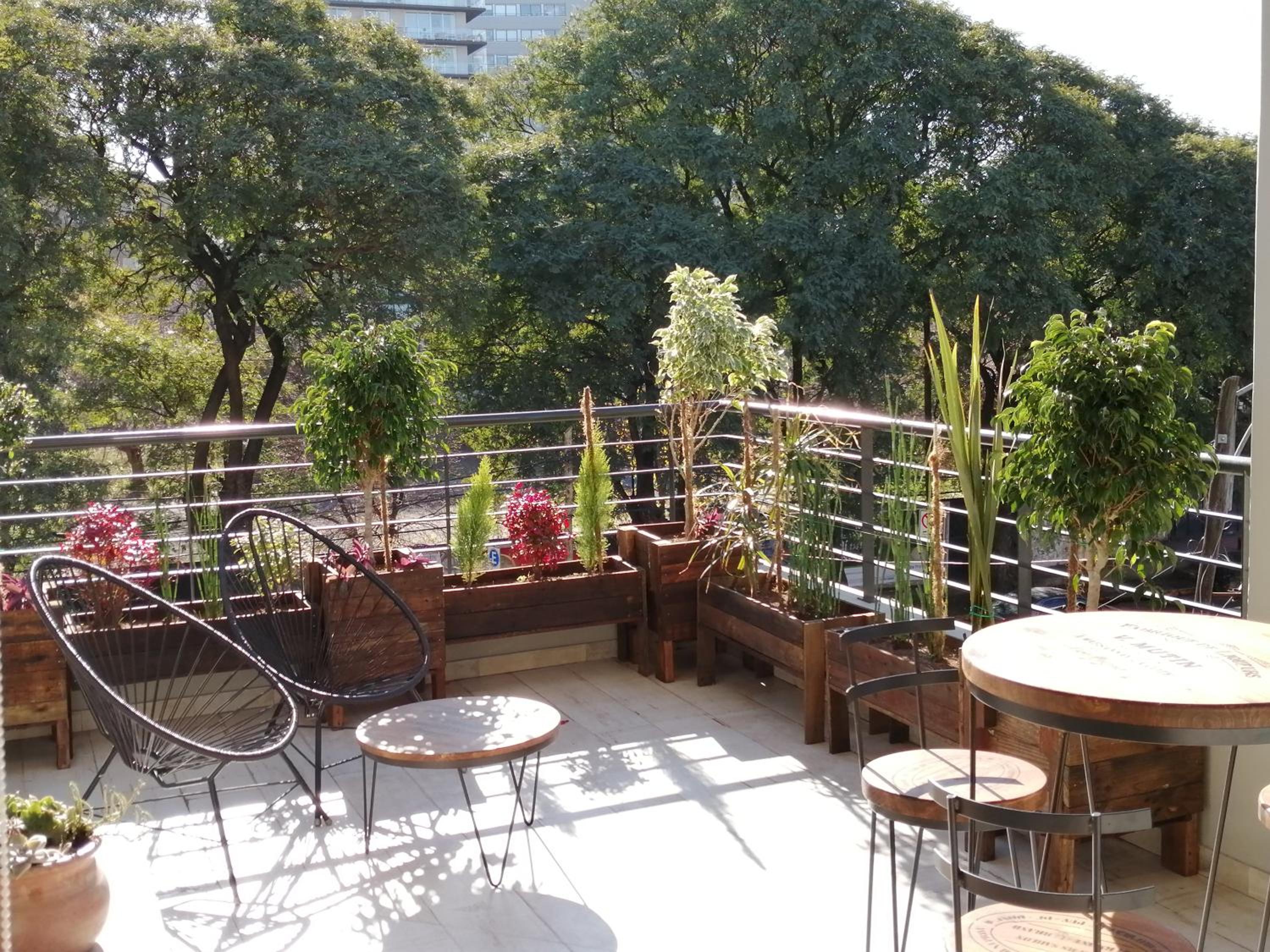 star apartment olivos