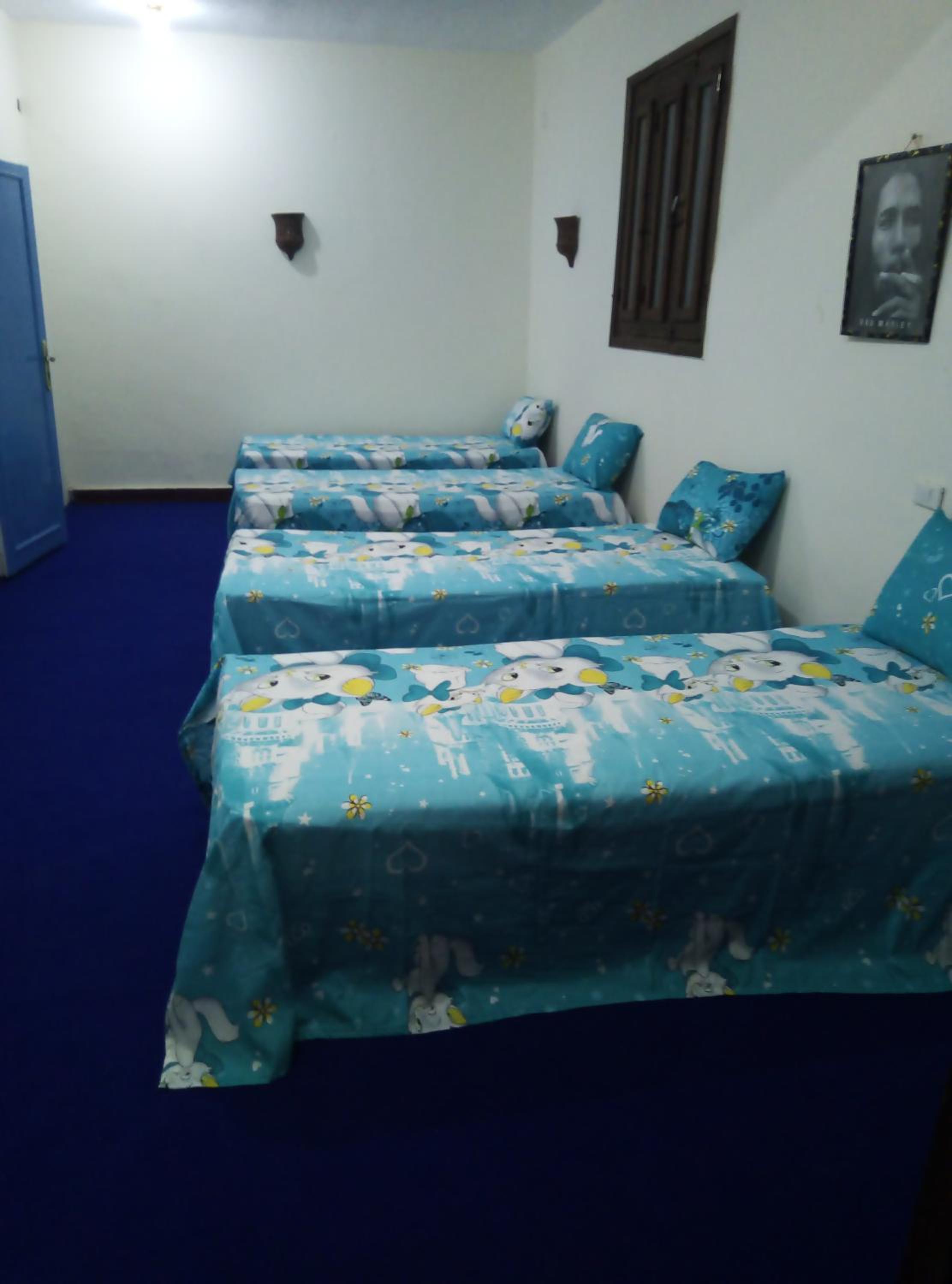 Hana hostel not for Egyptian view 5