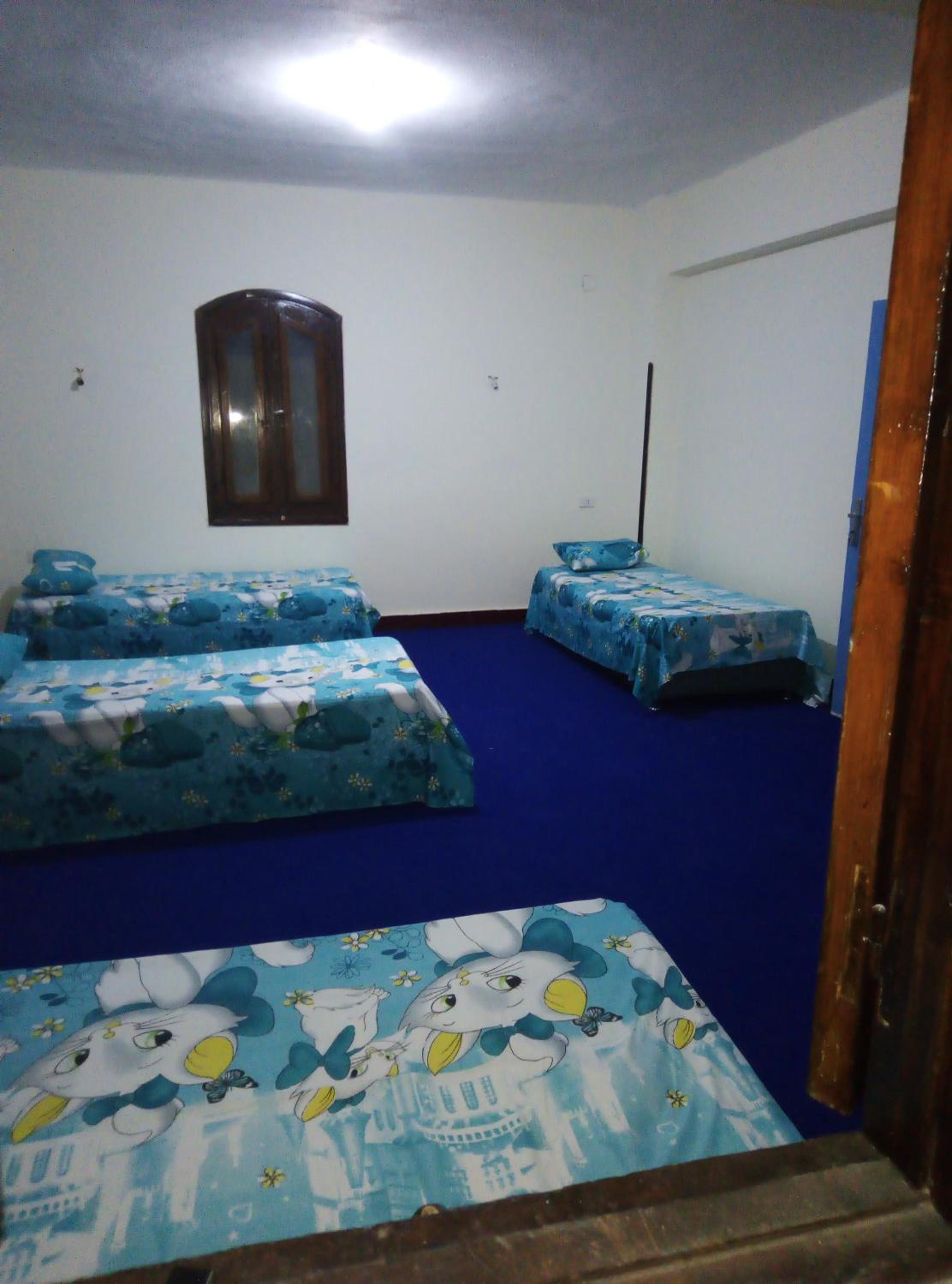 Hana hostel not for Egyptian view 4