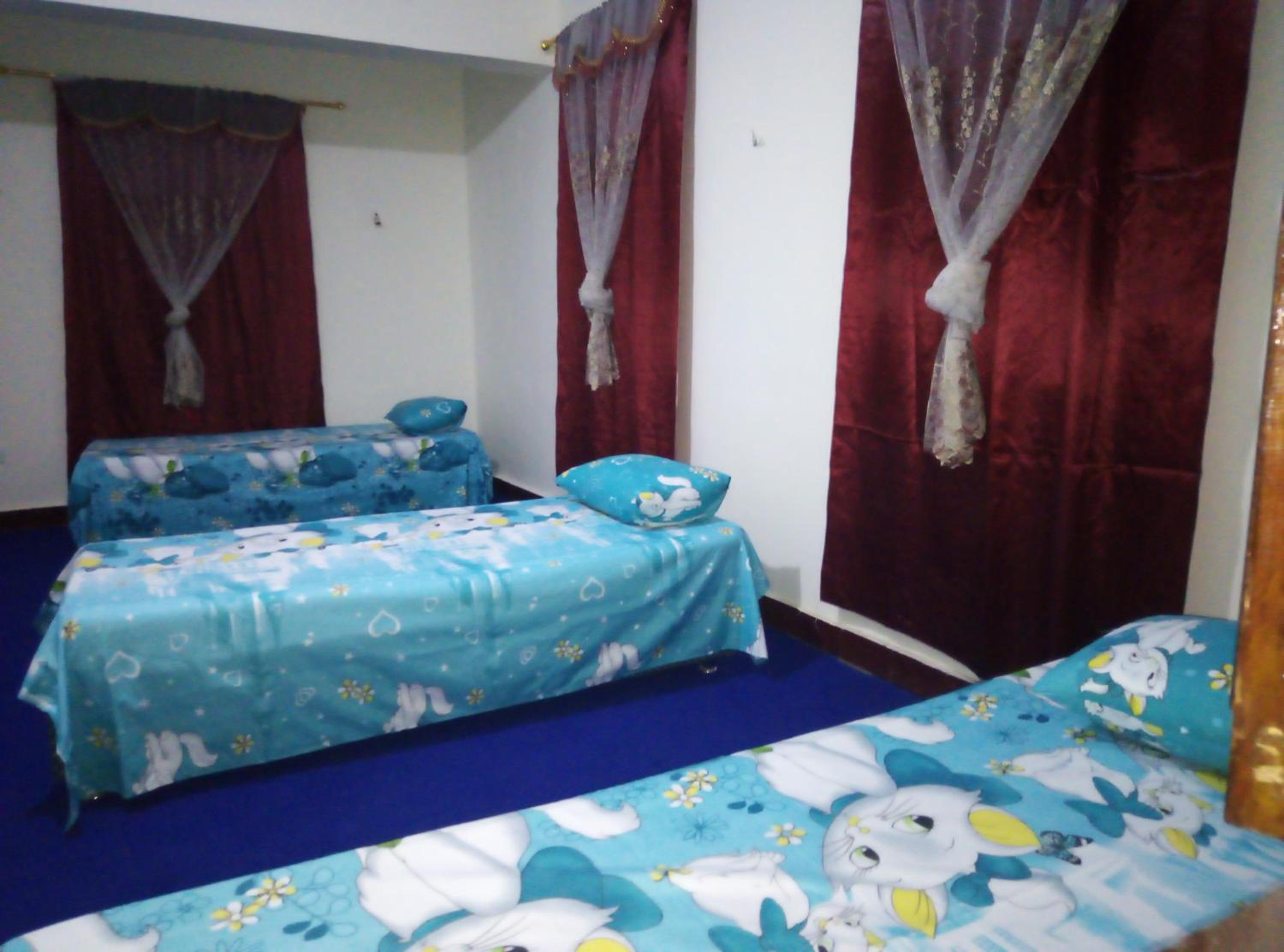 Hana hostel not for Egyptian view 3