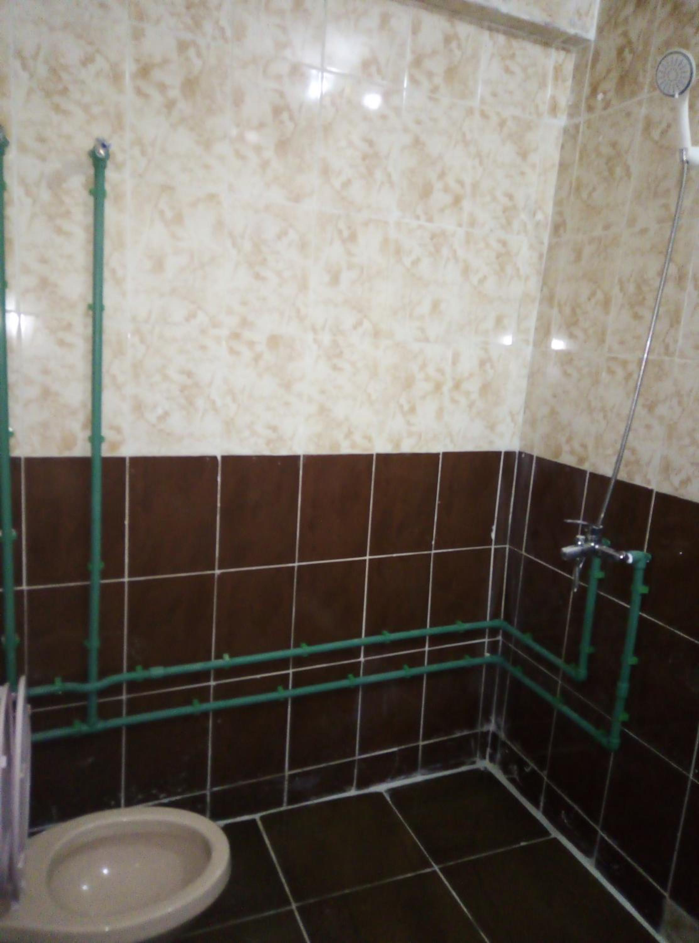 Photo 50