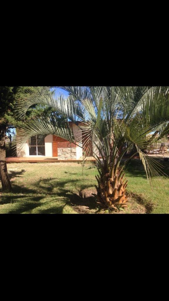 Posada de la lechuza