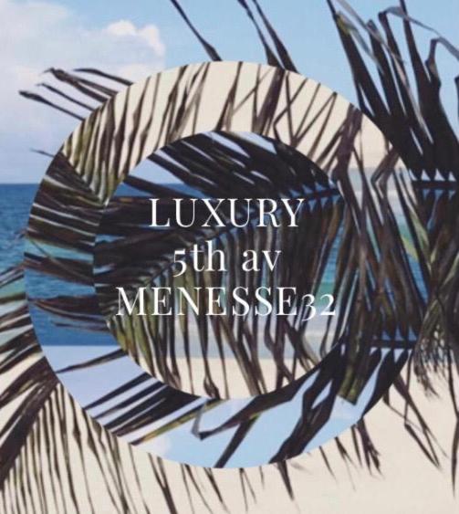 Luxury 5th Avenue Menesse 32 view 4