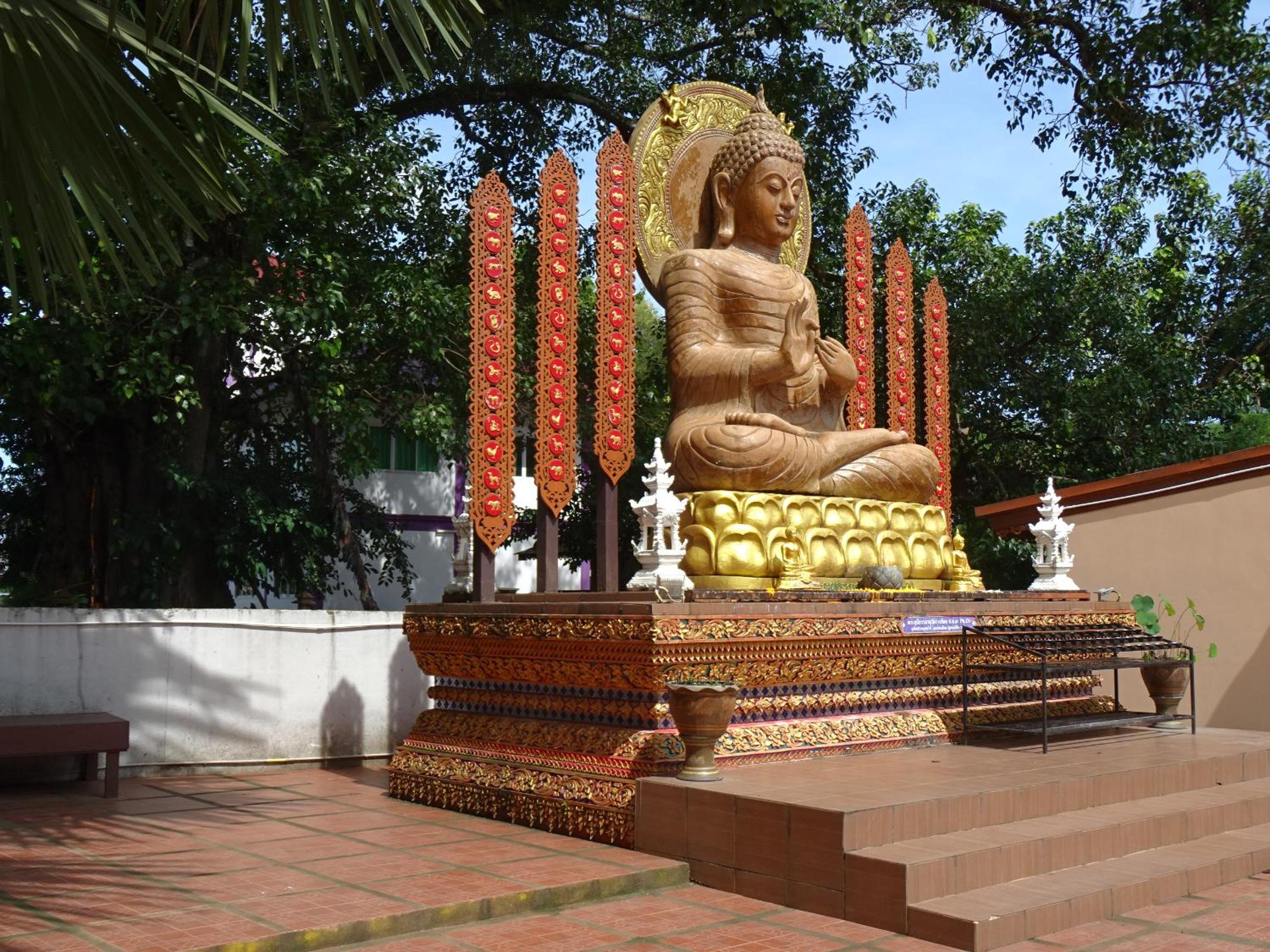 Photo 41