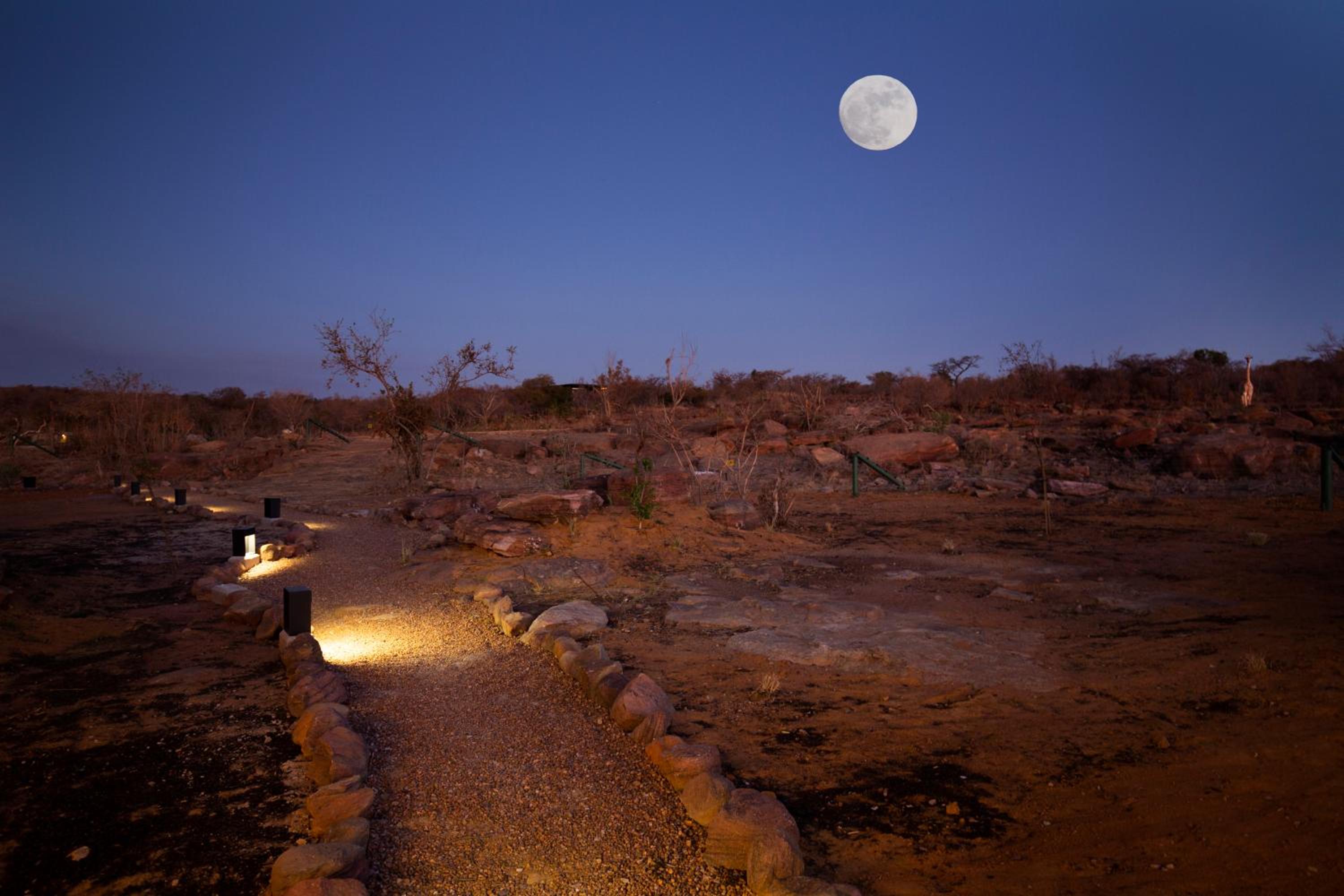 57 Waterberg