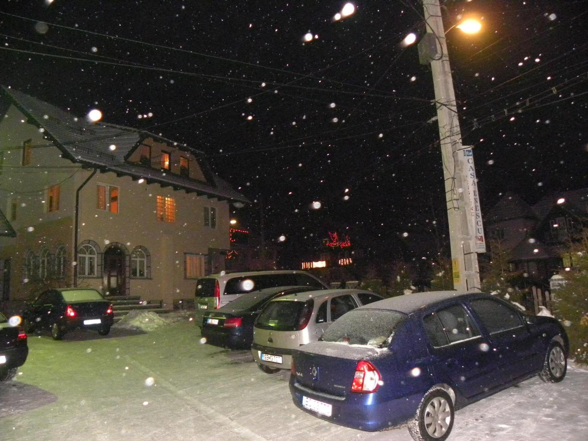 Casa Enescu view 2