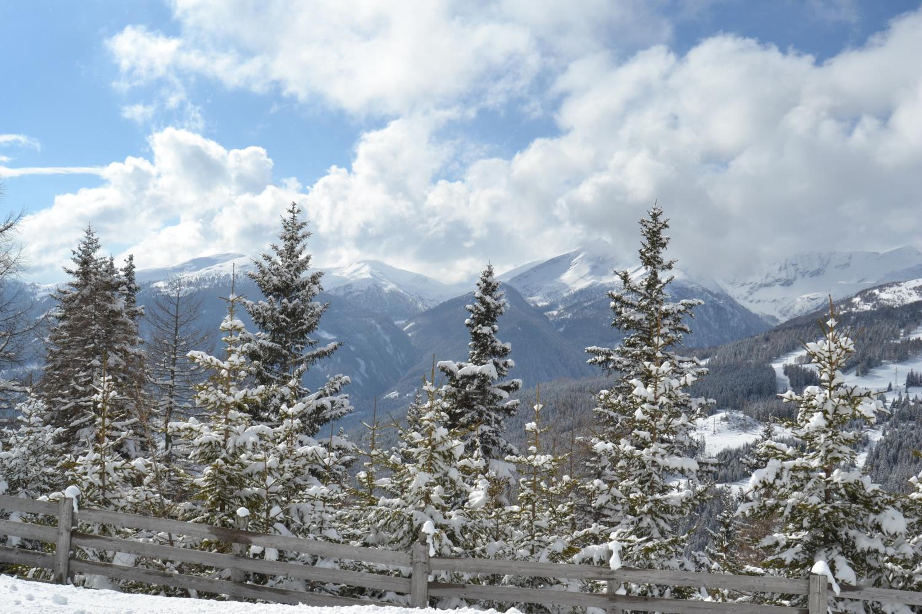 Premium Apartments EDEL:WEISS in Katschberg Carinthia