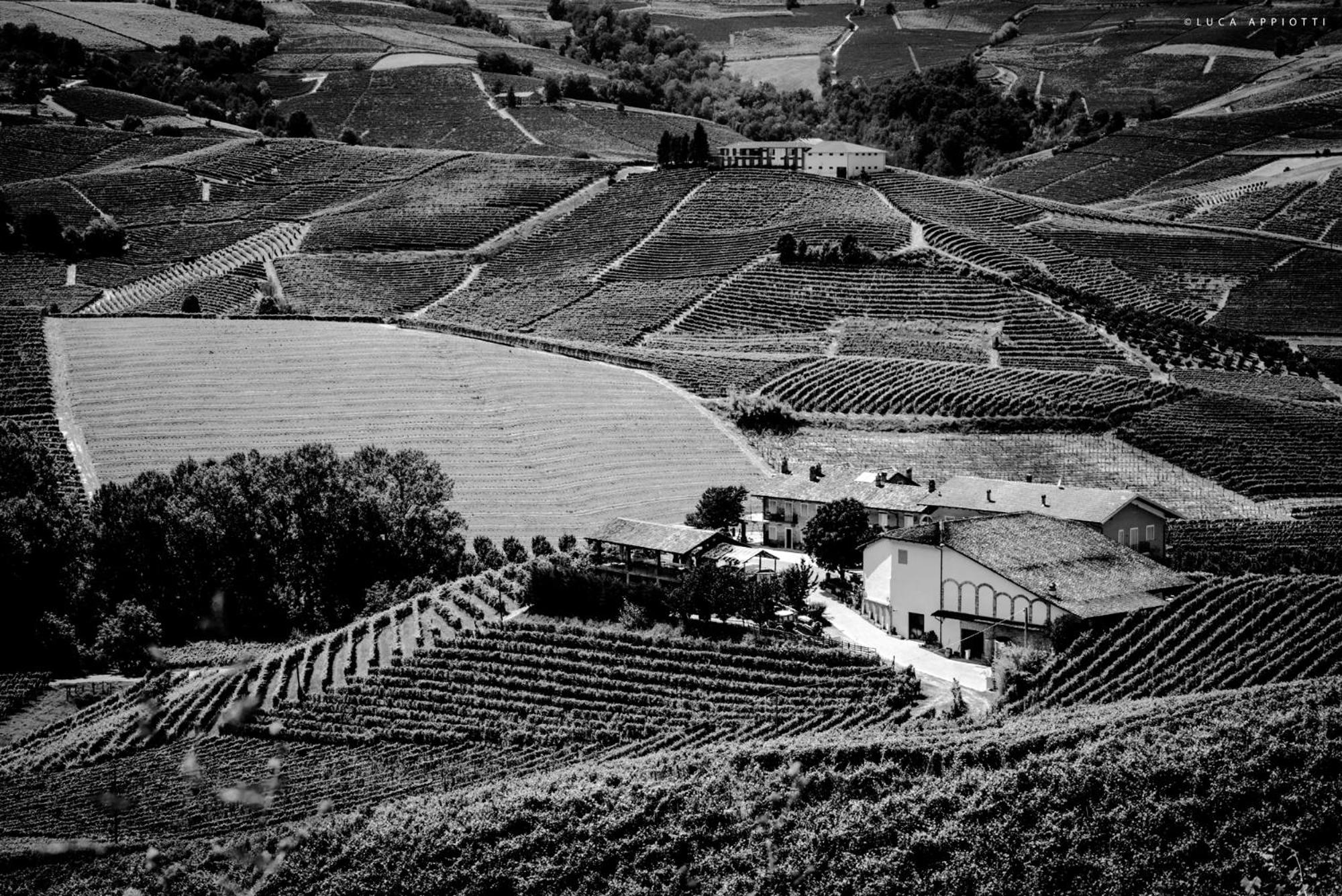 Agriturismo Cascina Sciulun view 5