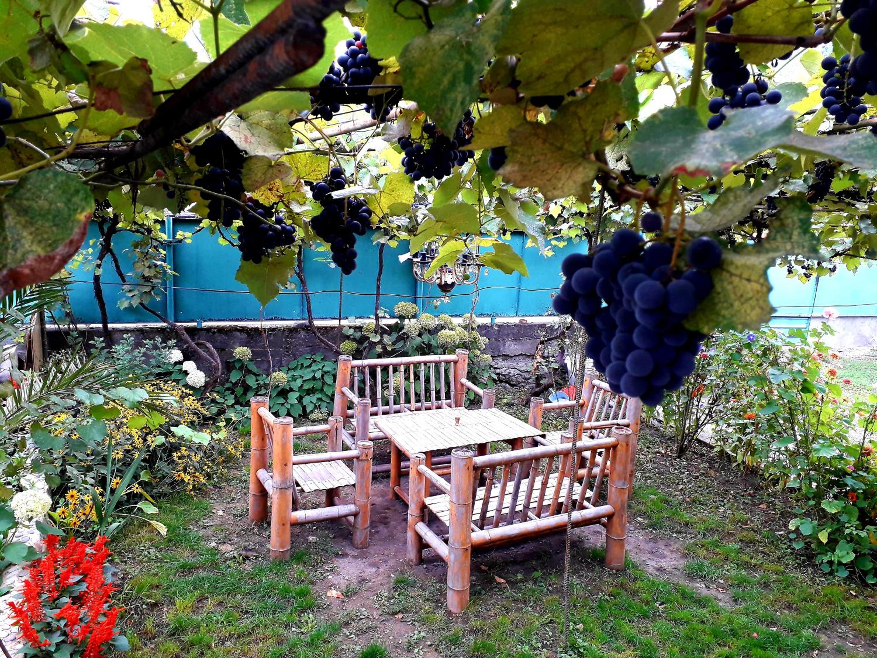Guest House Metreveli