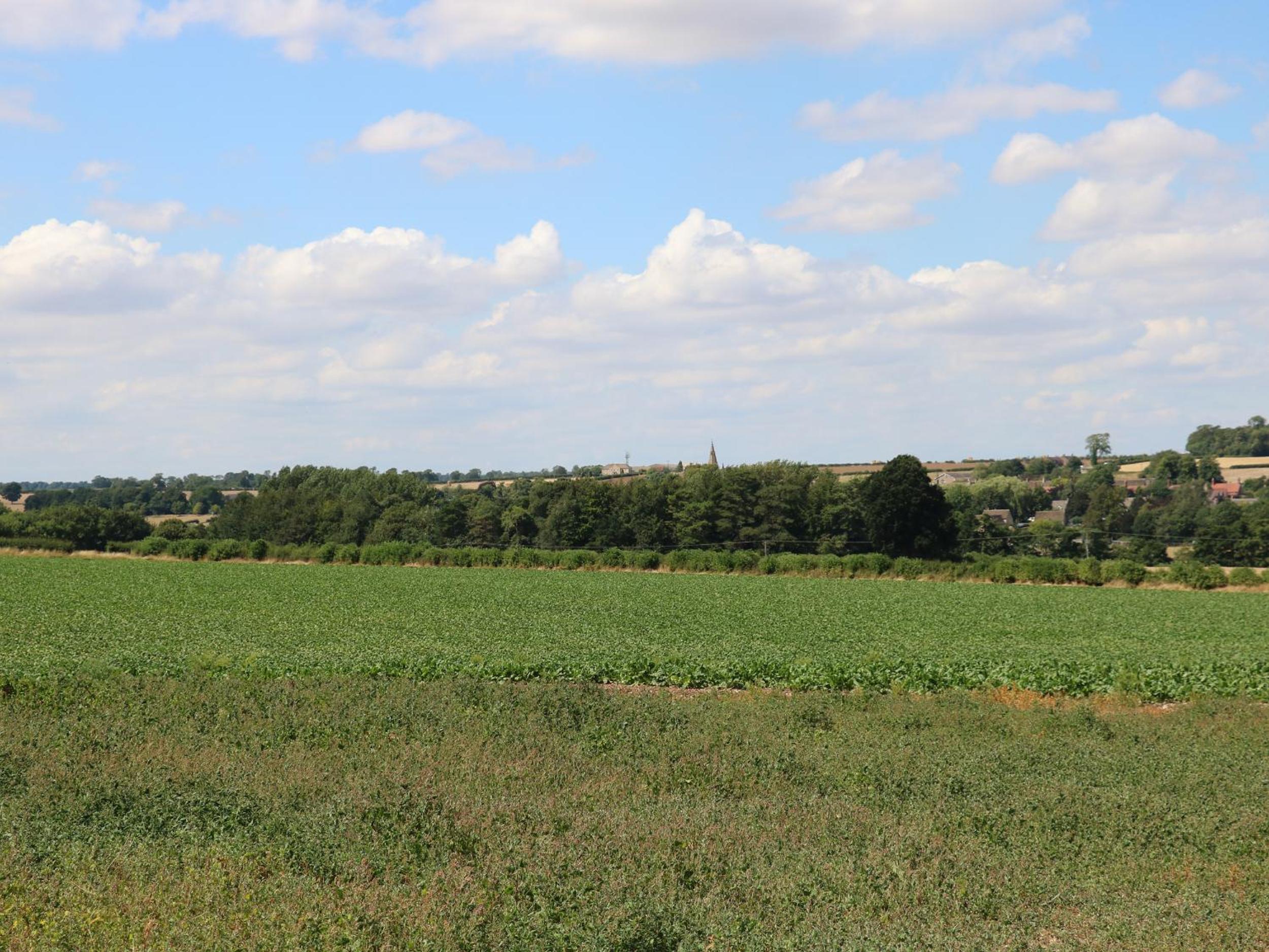 Photo 24