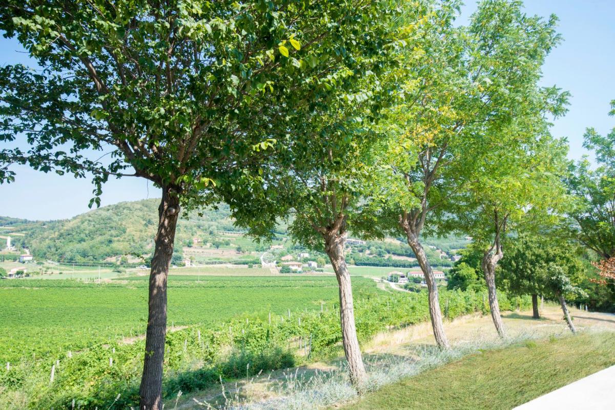 B&B Ai Filari photo 5