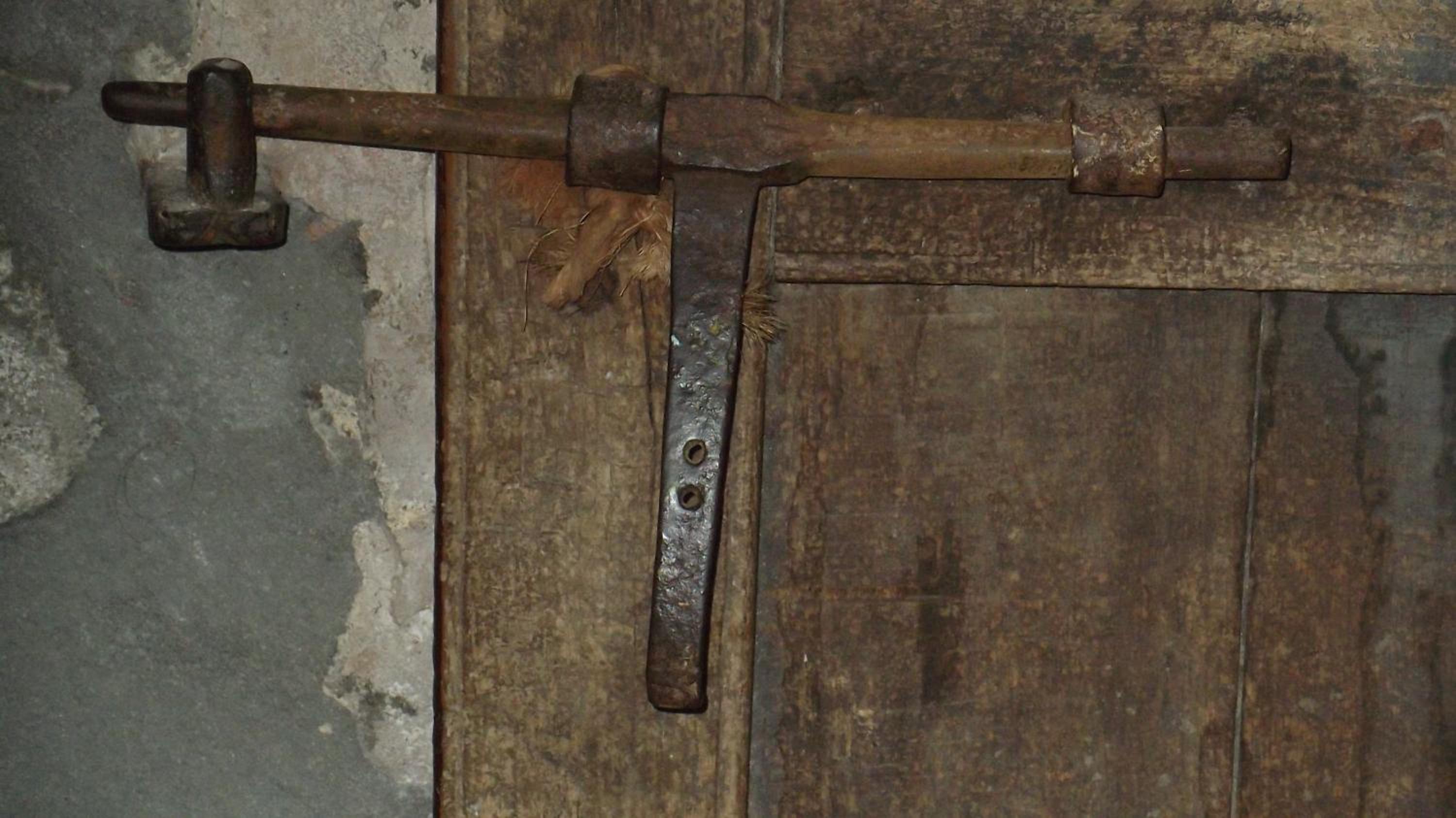 Photo 25