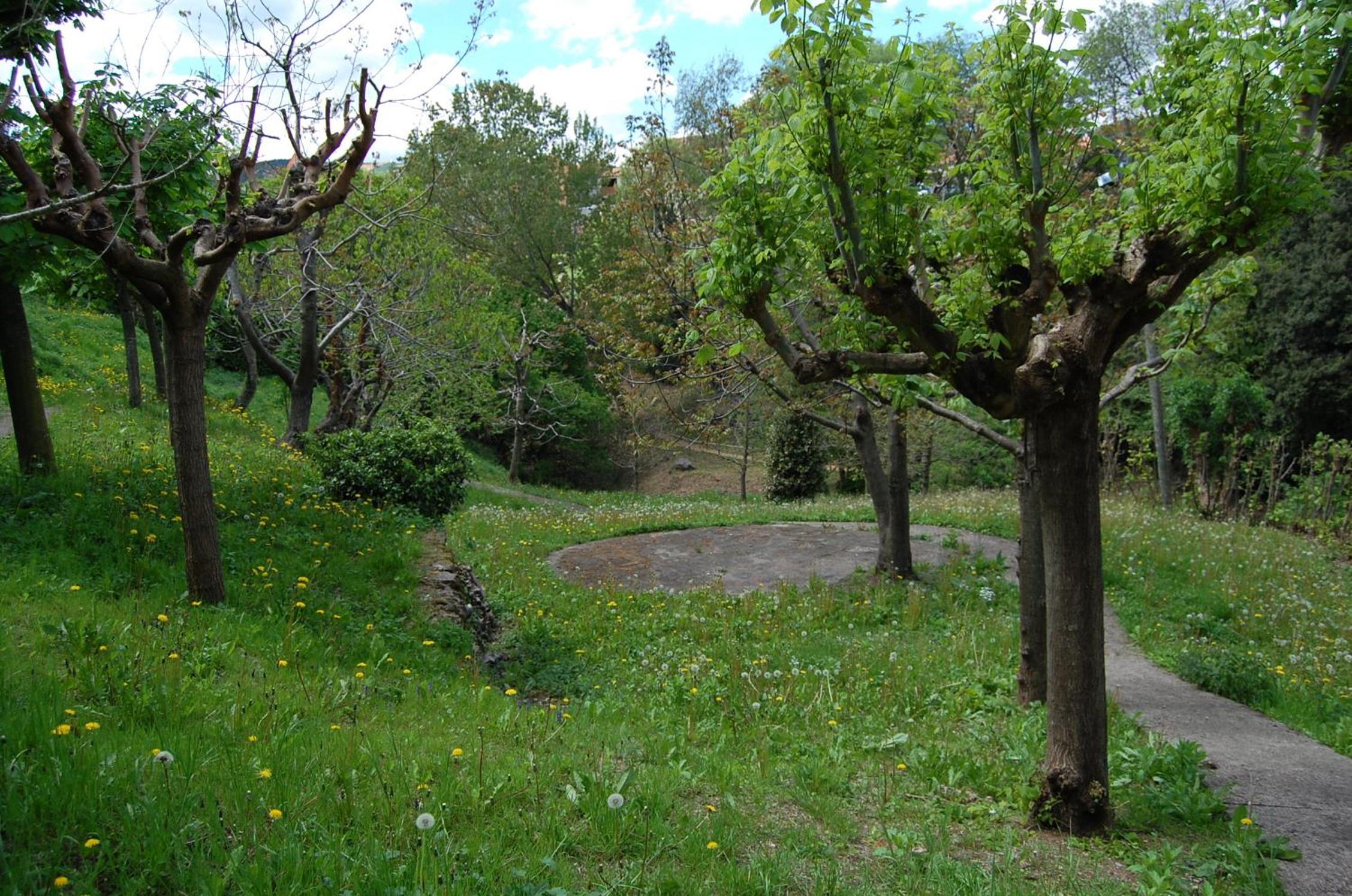 Photo 9