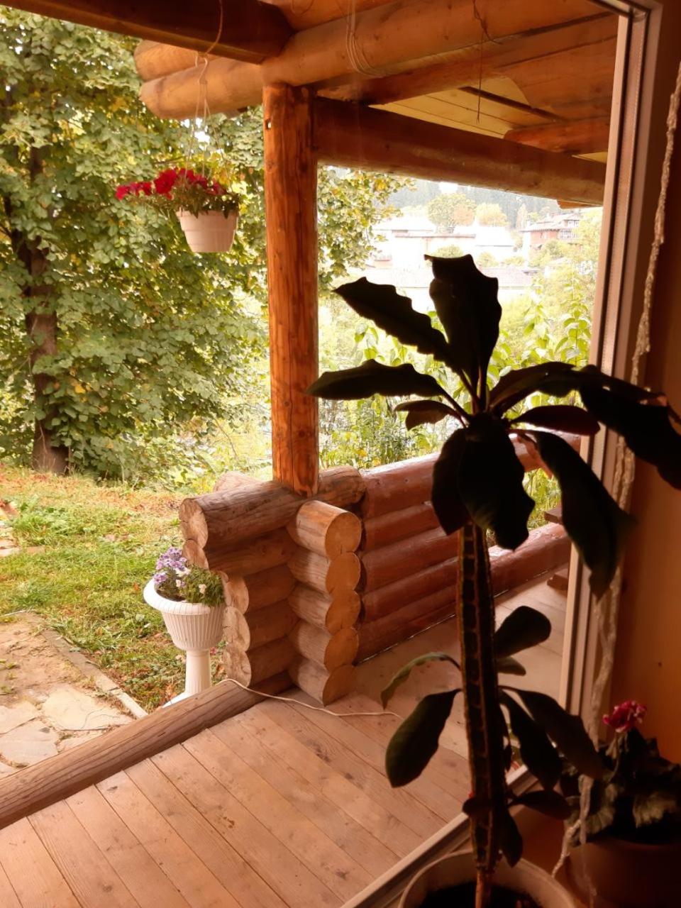 Photo 6