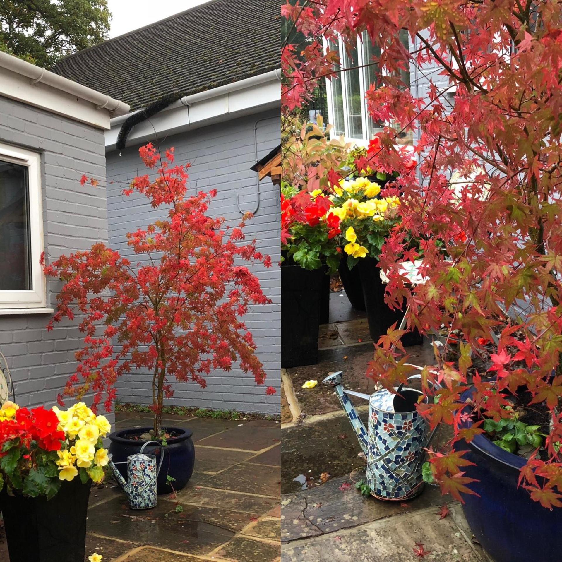 Basingstoke Vacations - West View Lodge - Property Image 56