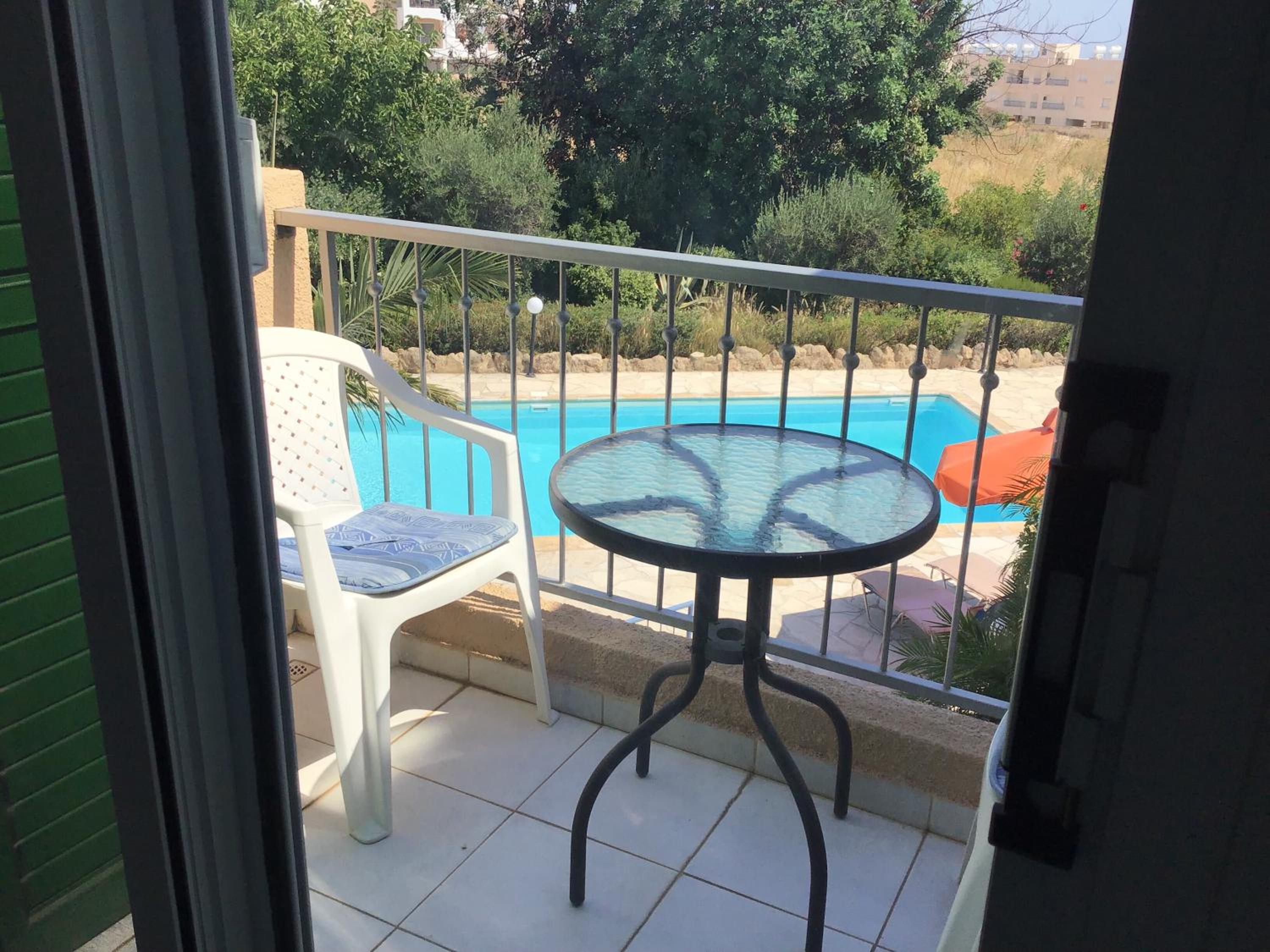 Olive Tree view 2