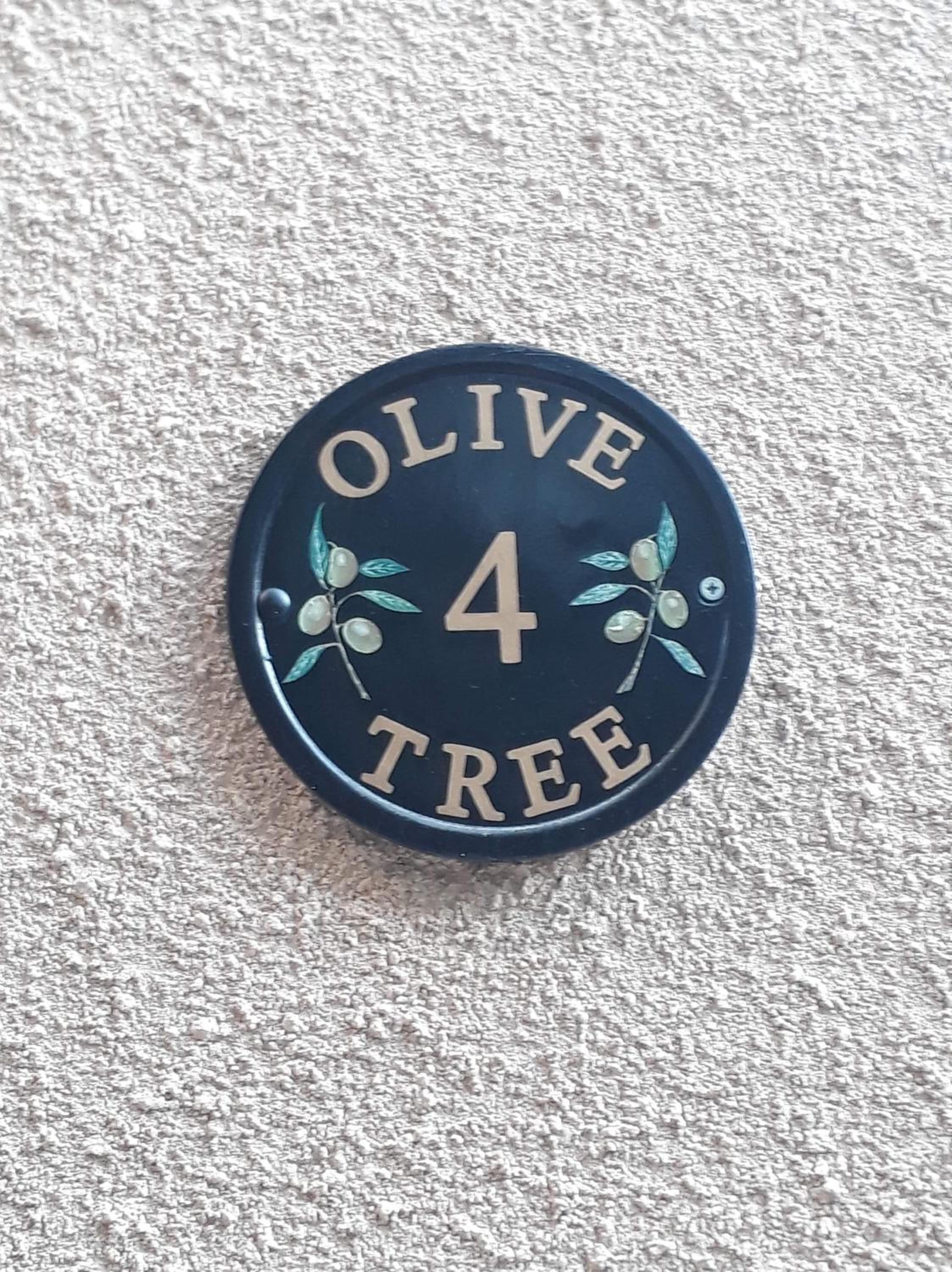 Olive Tree view 4