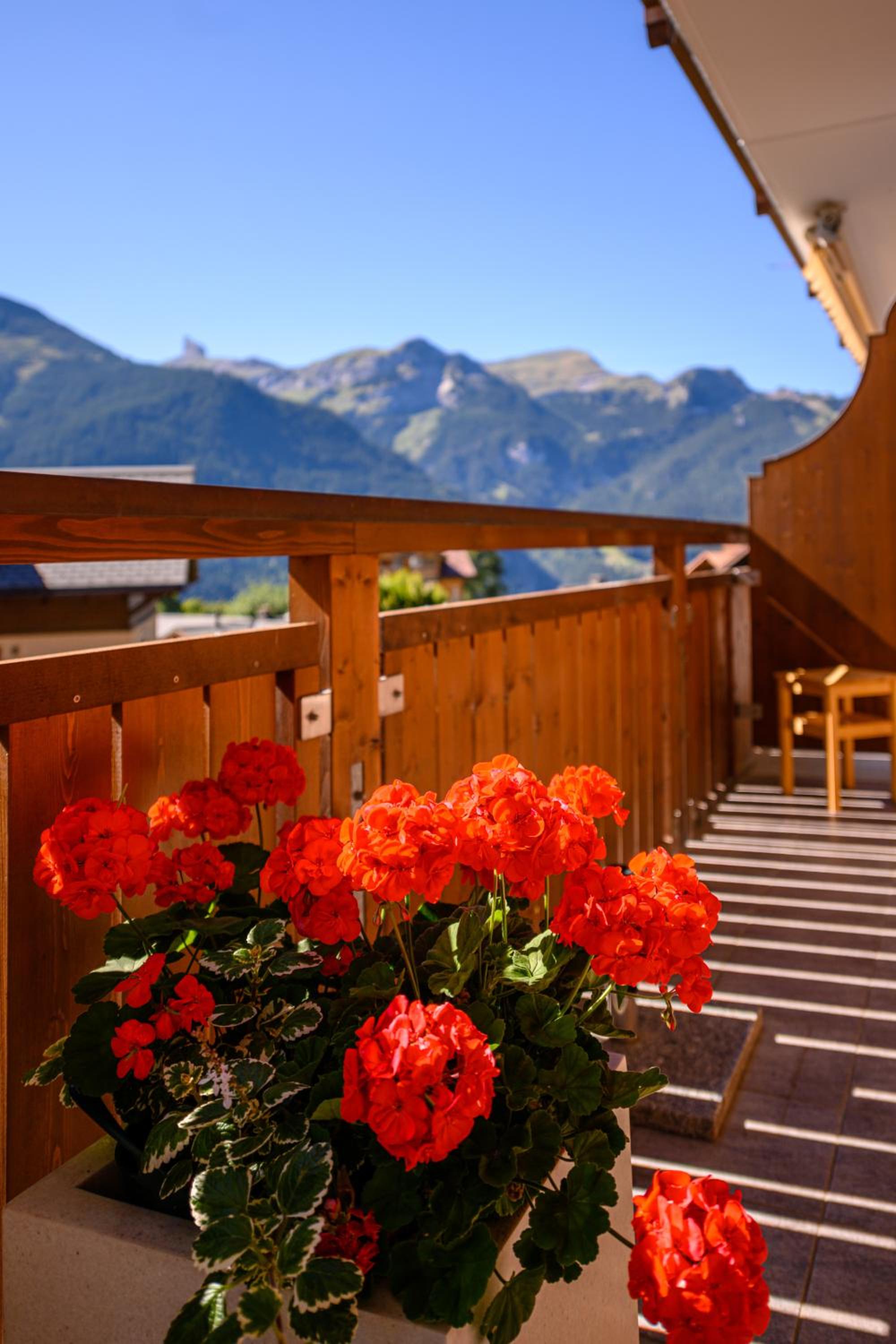 Chalet Bella Vista 4