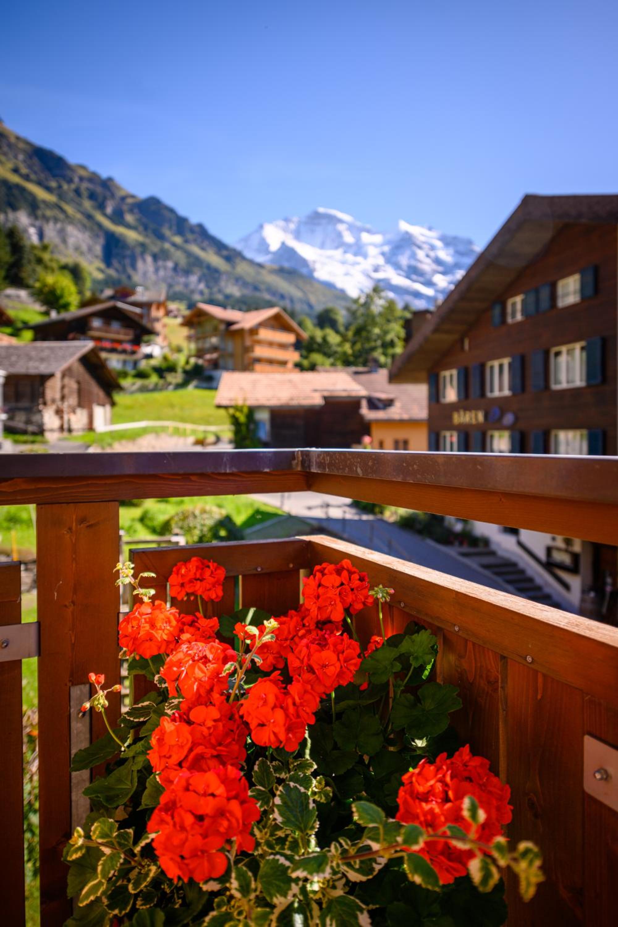 Chalet Bella Vista 4