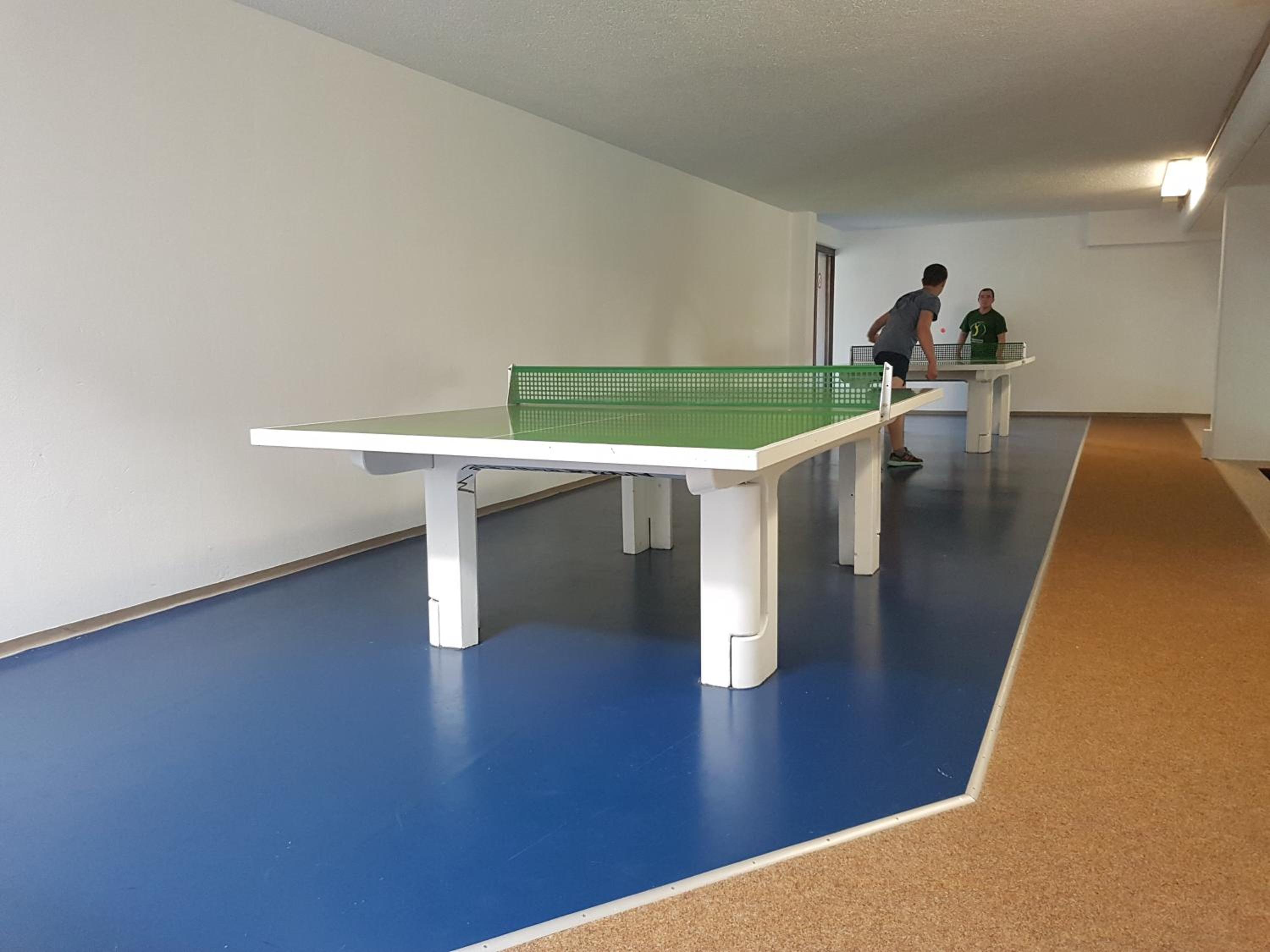 Ferienwohnung Bergpanorama mit Pool