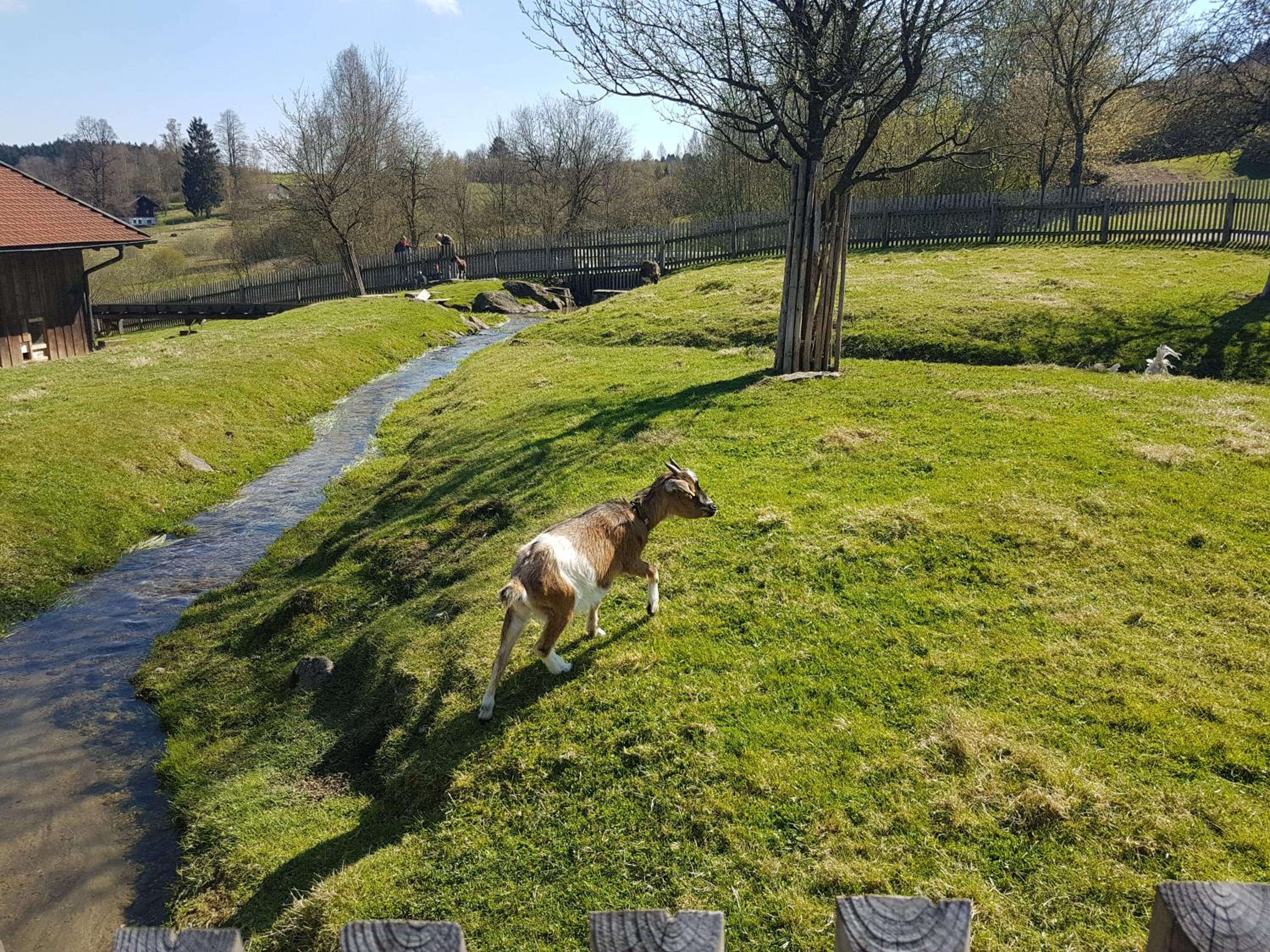Ferienwohnung Bergpanorama mit Pool