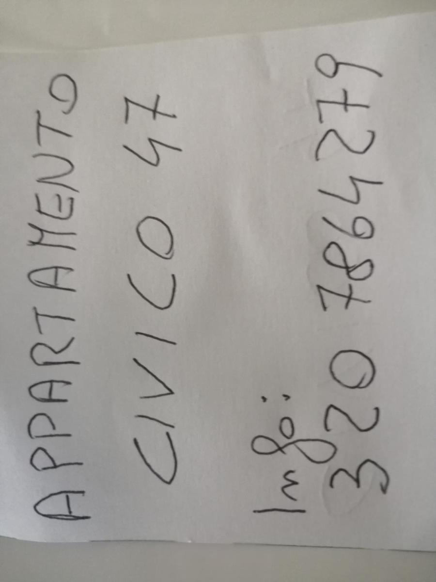 civico 47 photo 4