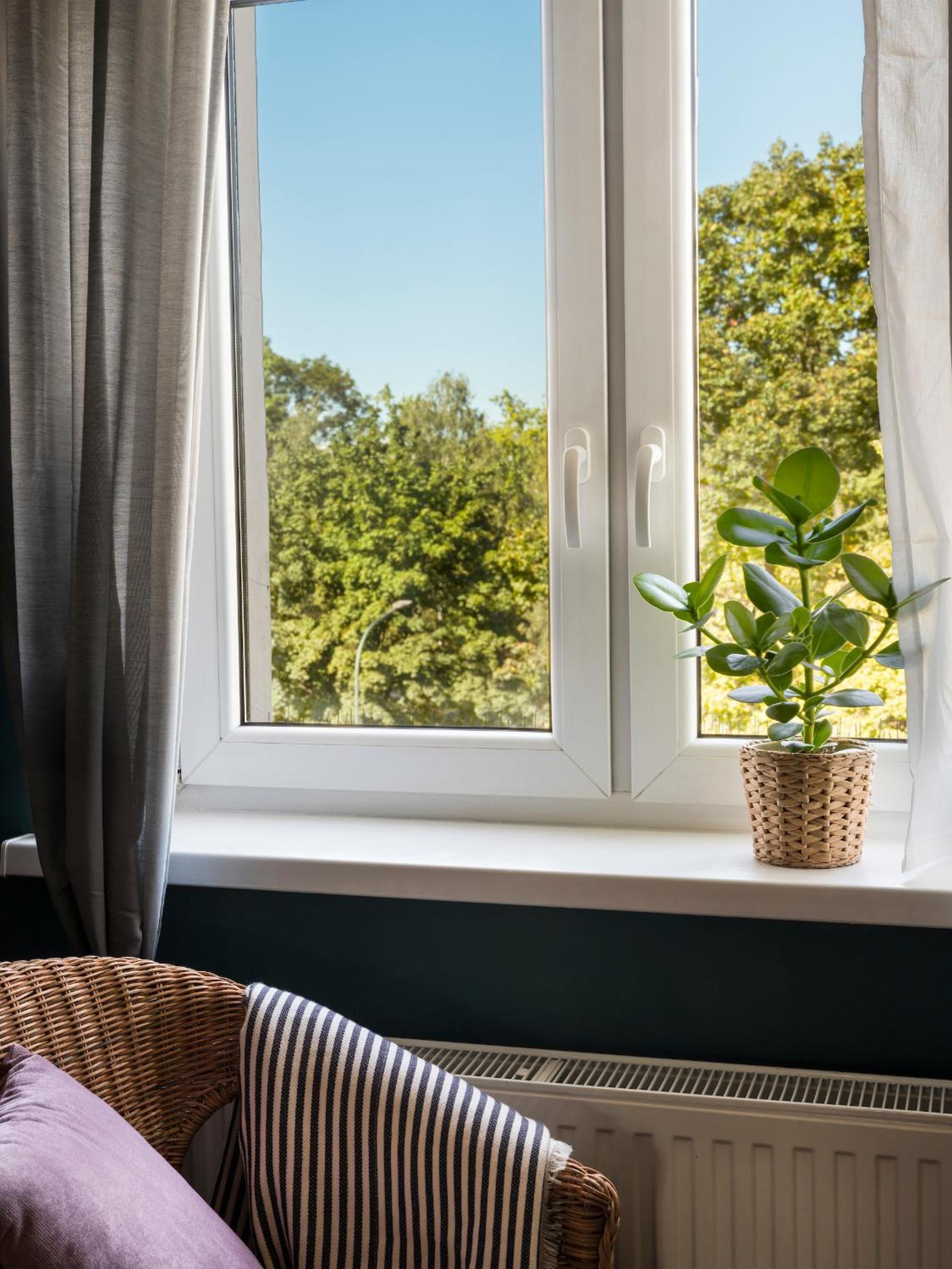 Green view apartment / Kochanowskiego view 4